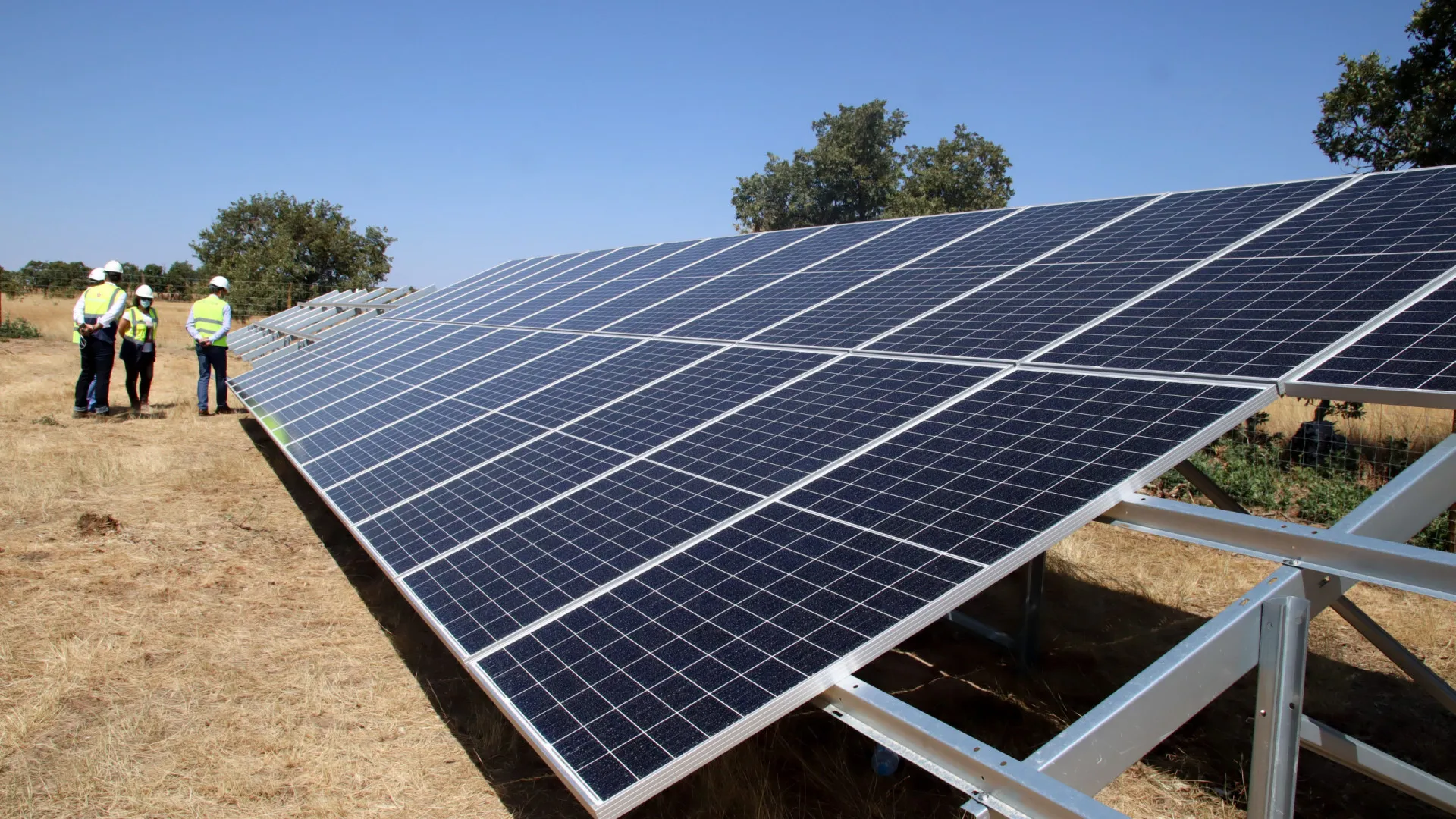 
                    Associação Zero contra projeto da central fotovoltaica Sophia
                