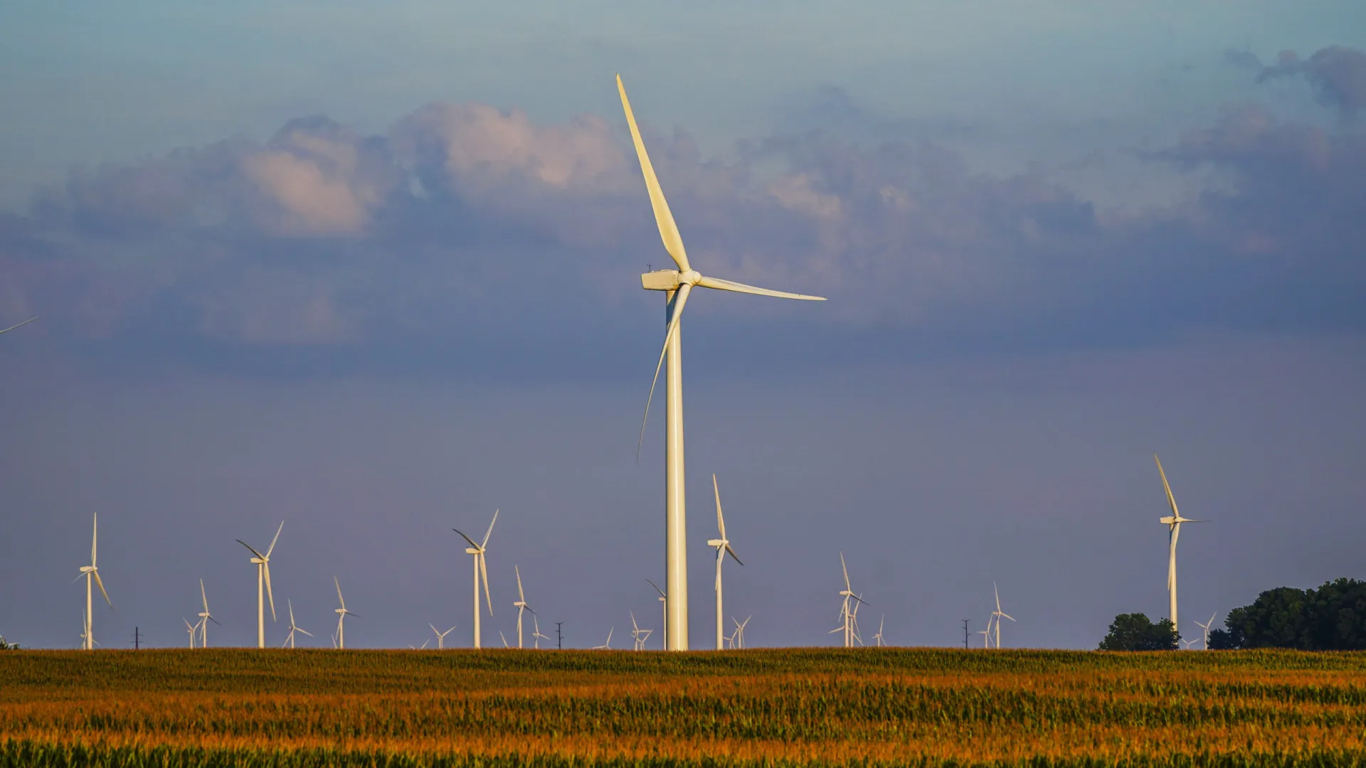 
                    Renováveis abastecem metade do consumo, o valor mais baixo em 2 anos
                