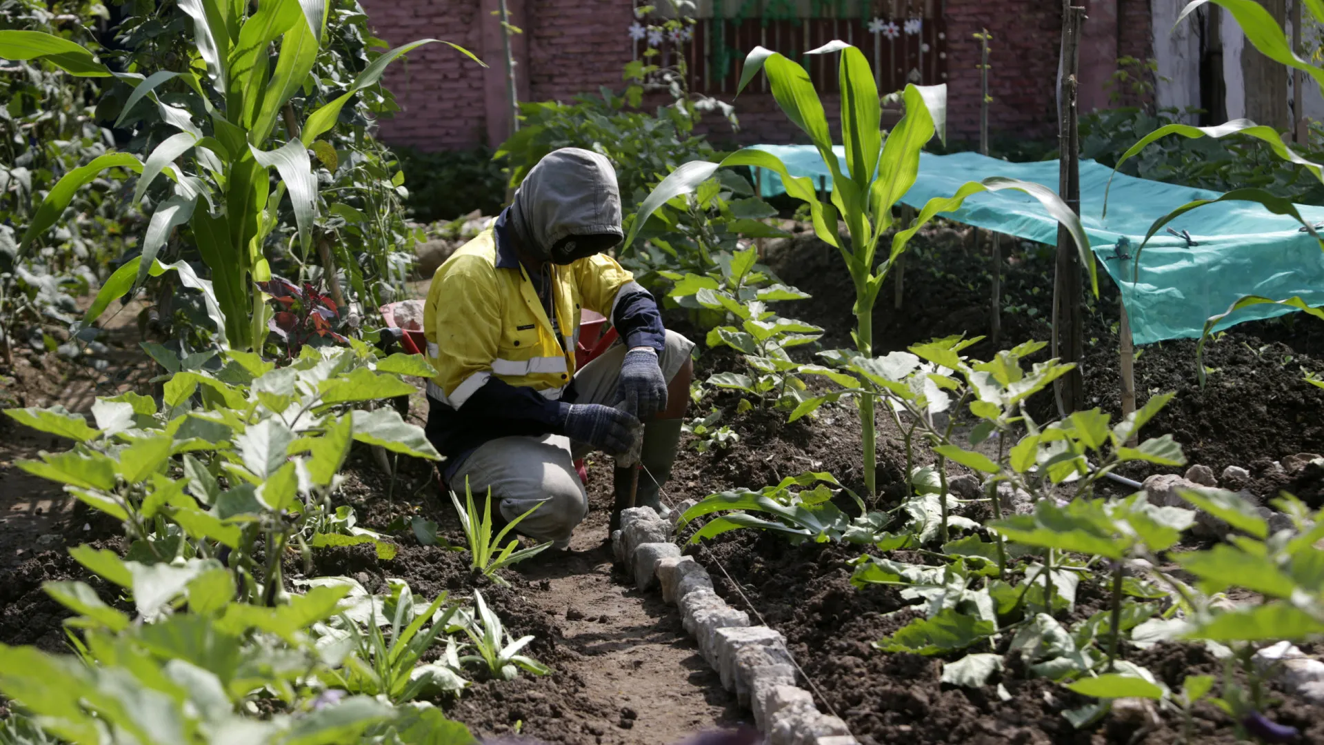 
                    Angola registou em 2025 aumento progressivo da produção agrícola
                