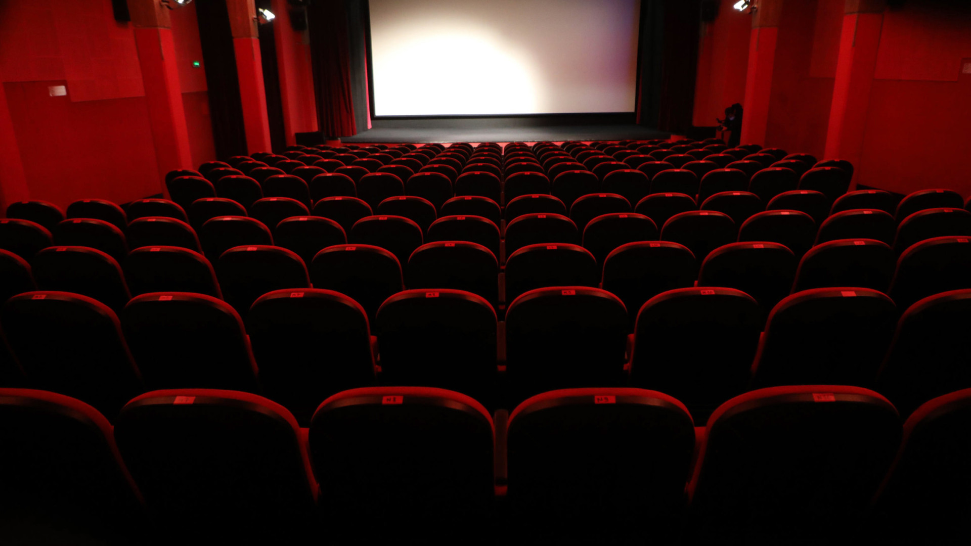 Espectadores nos cinemas caem em 3,8% em 2024 embora receita siga estável