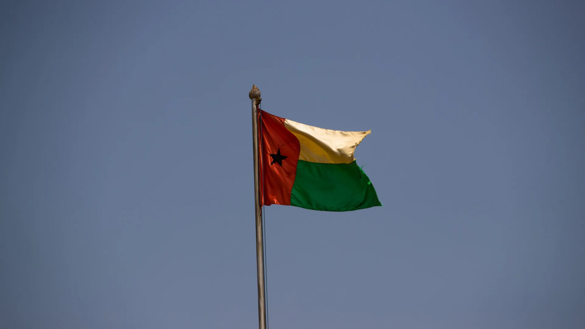 
                    Escritor guineense defende divulgação de votos na Guiné-Bissau
                