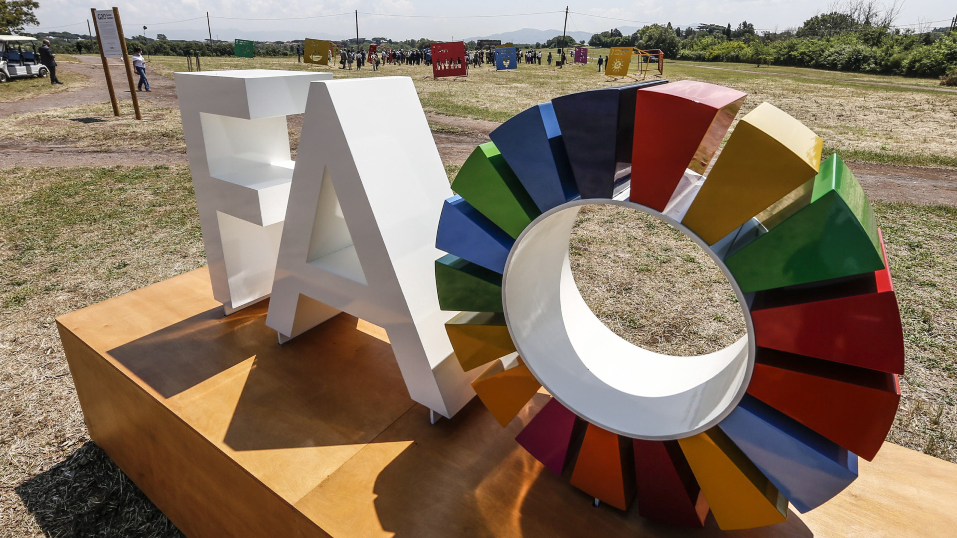 Cultivo da erva-mate no Brasil eleito património agrícola mundial