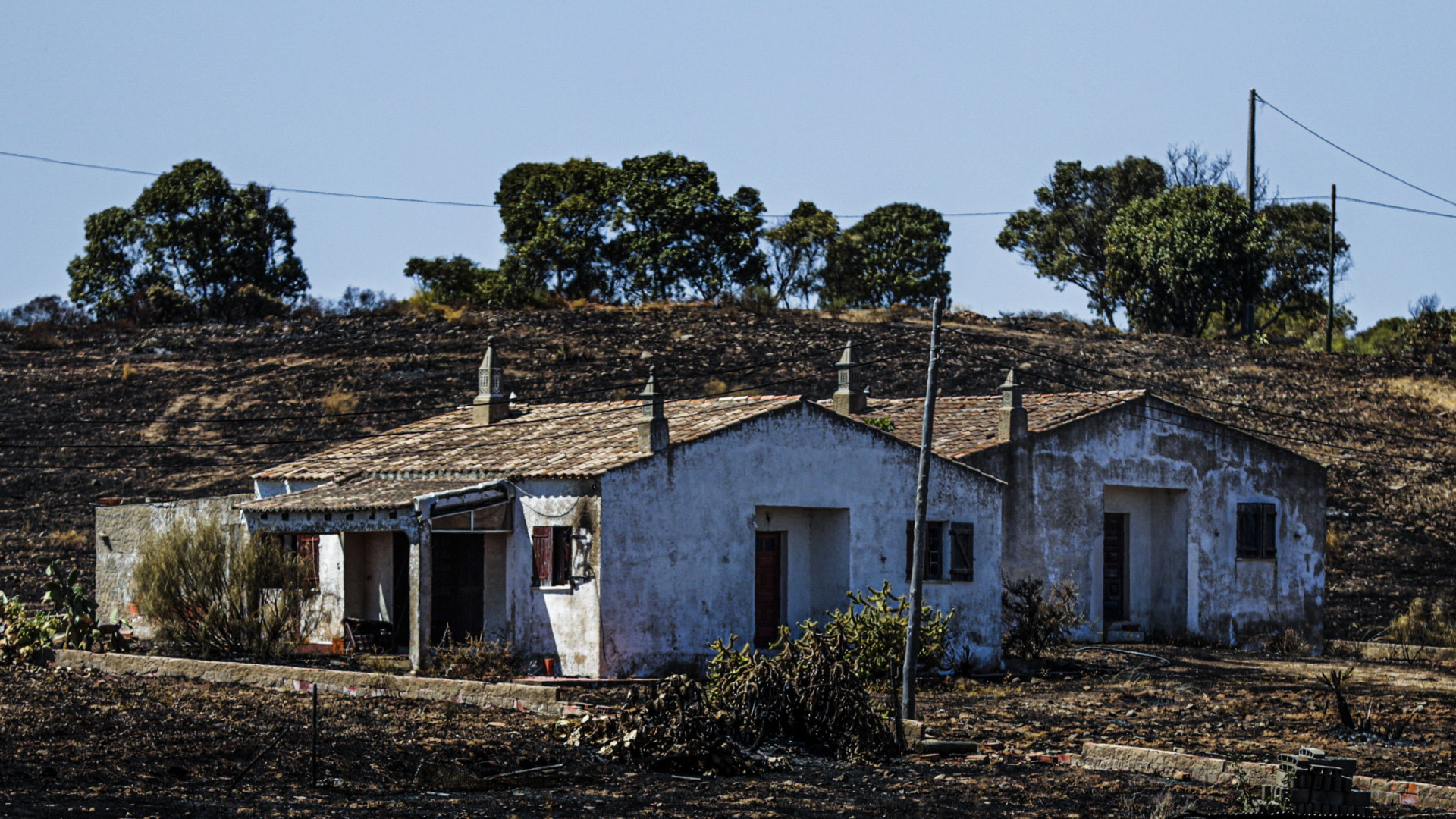 Casas bem protegidas podem ser locais seguros face a fogos. Mas como?