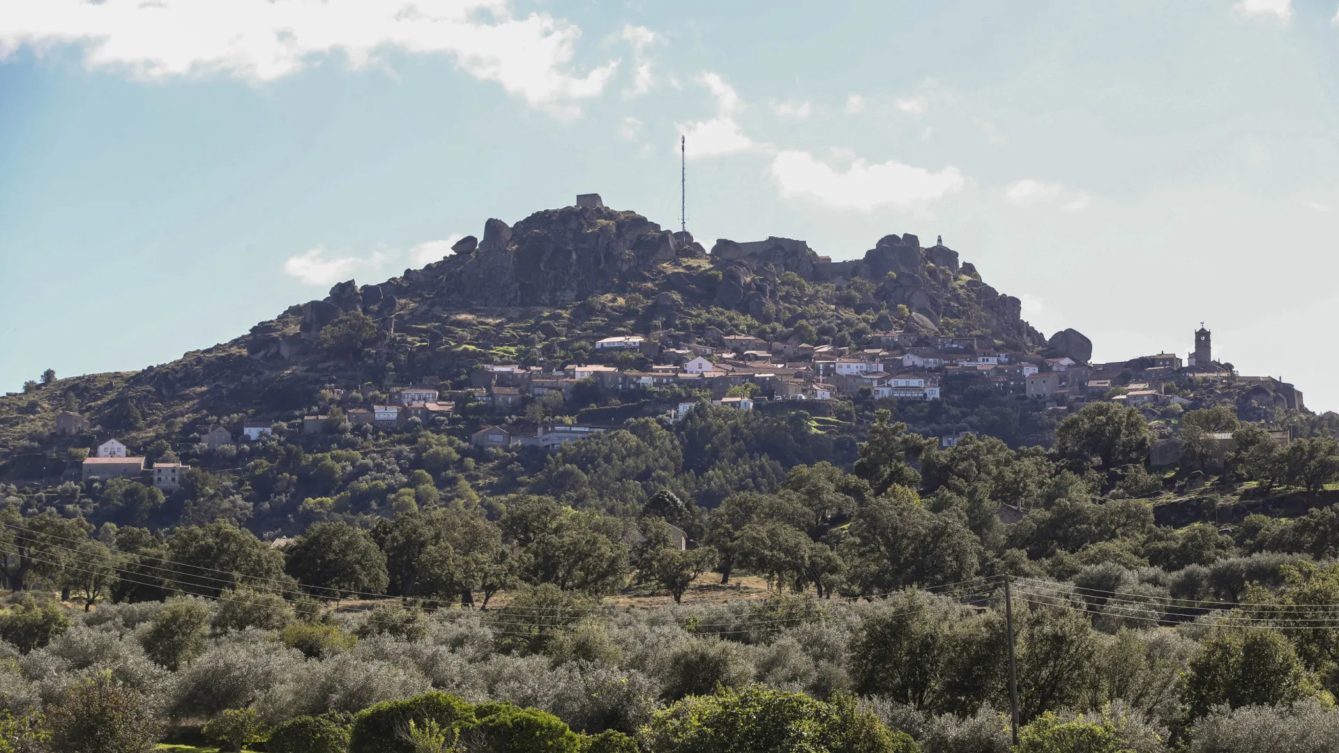 
                    Concelhos de Tavira e Idanha-a-Nova em risco muito elevado de incêndio
                