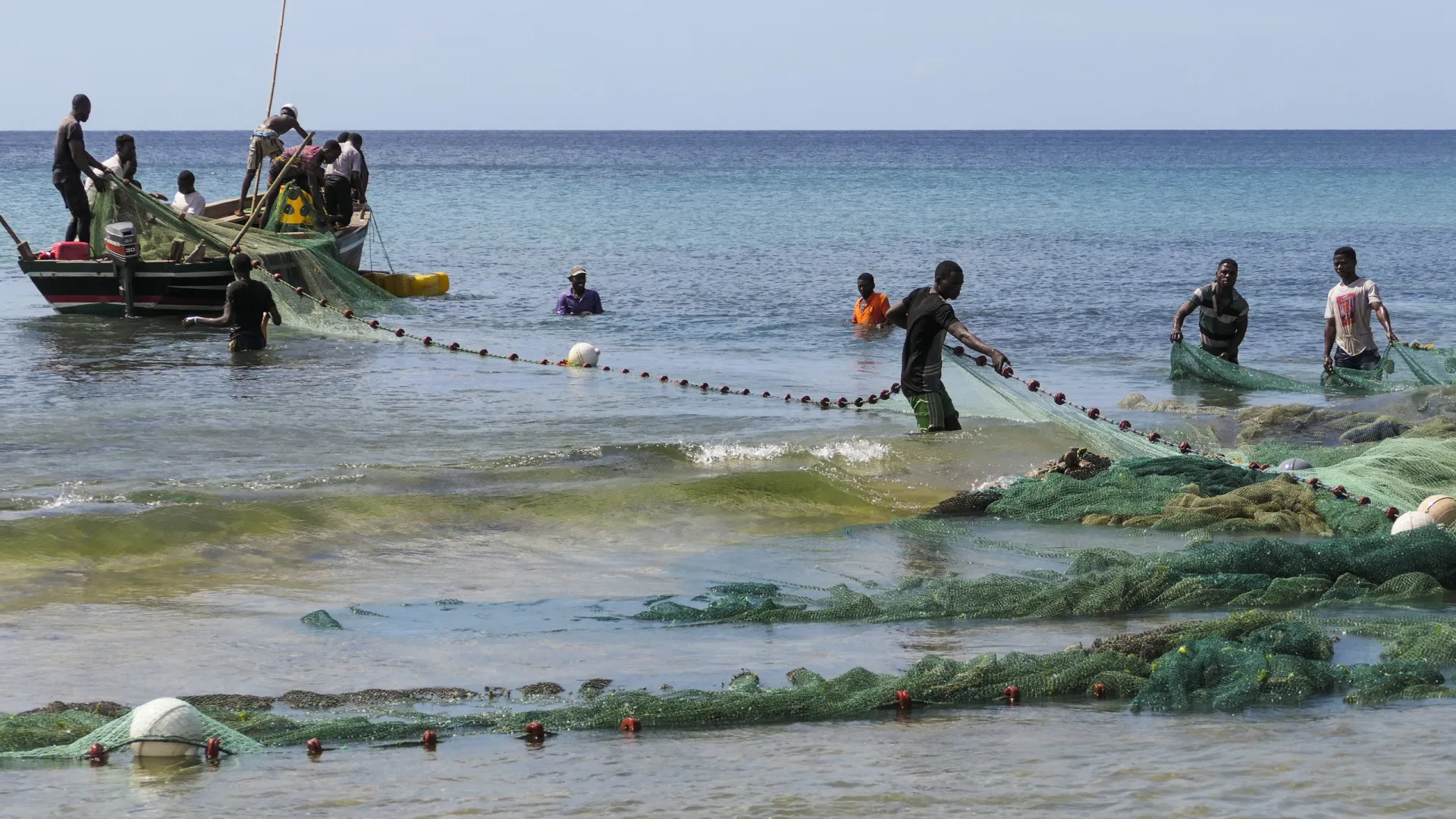 
                    Moçambique apela a colaboração quanto a conservação marinha
                