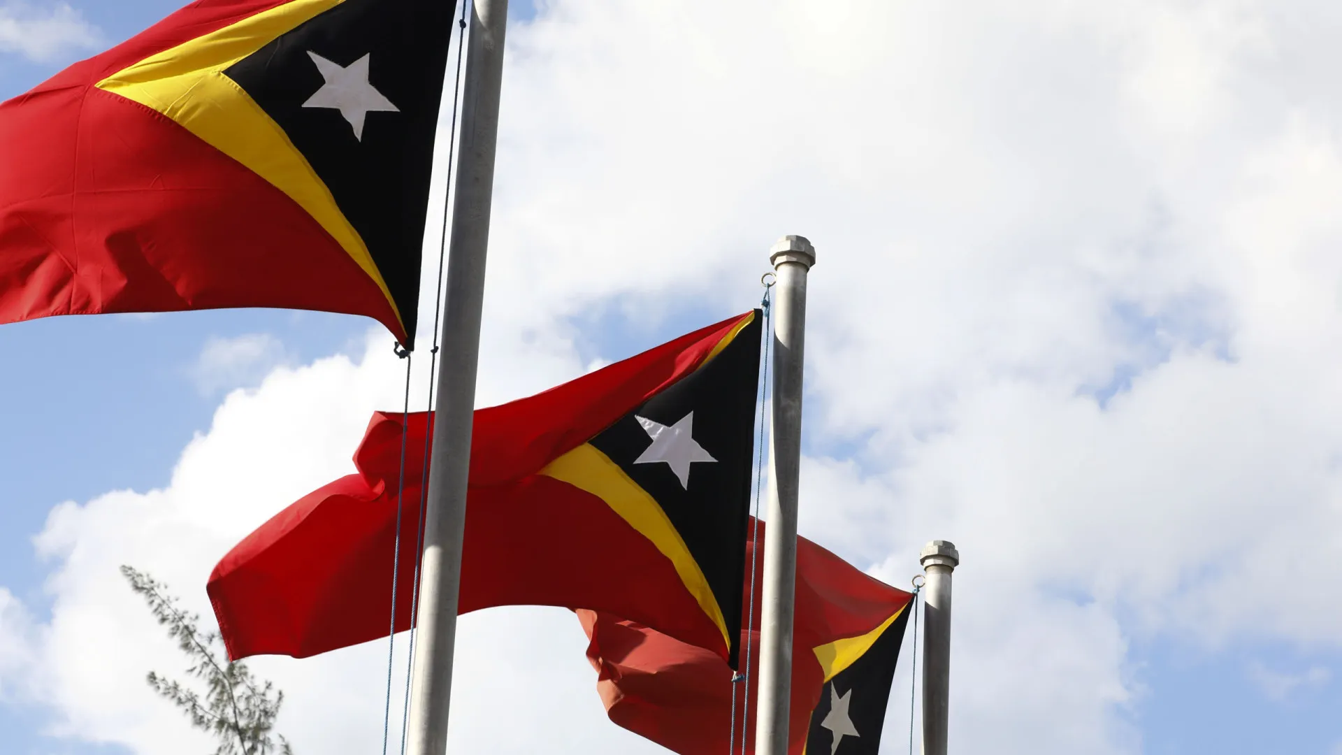 
                    Mulheres de Timor-Leste são cruciais na resolução de conflitos
                