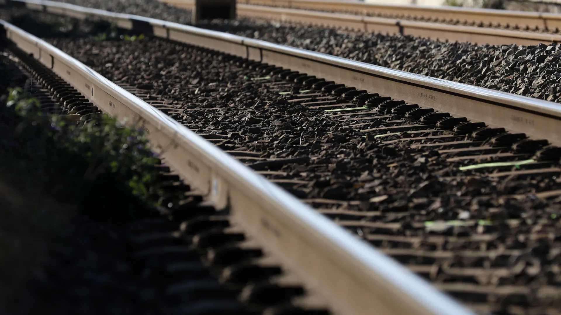 
                    Ligação ferroviária entre Moçambique e África do Sul e Essuatíni parada
                