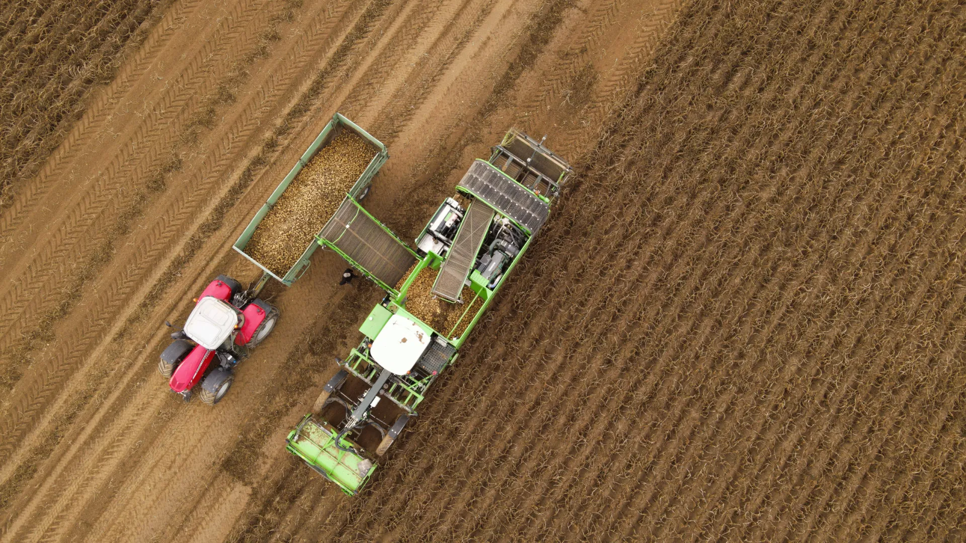 
                    Estudo influente sobre glifosato retirado após alertas de envolvimento da Monsanto
                