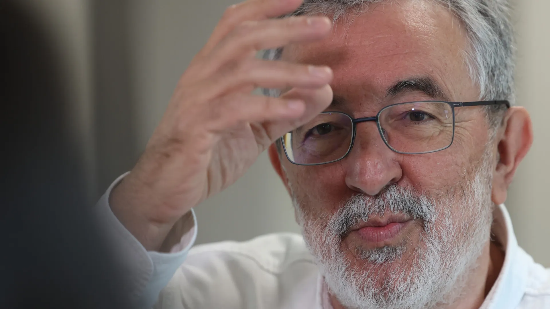 
                    Académicos criticam 