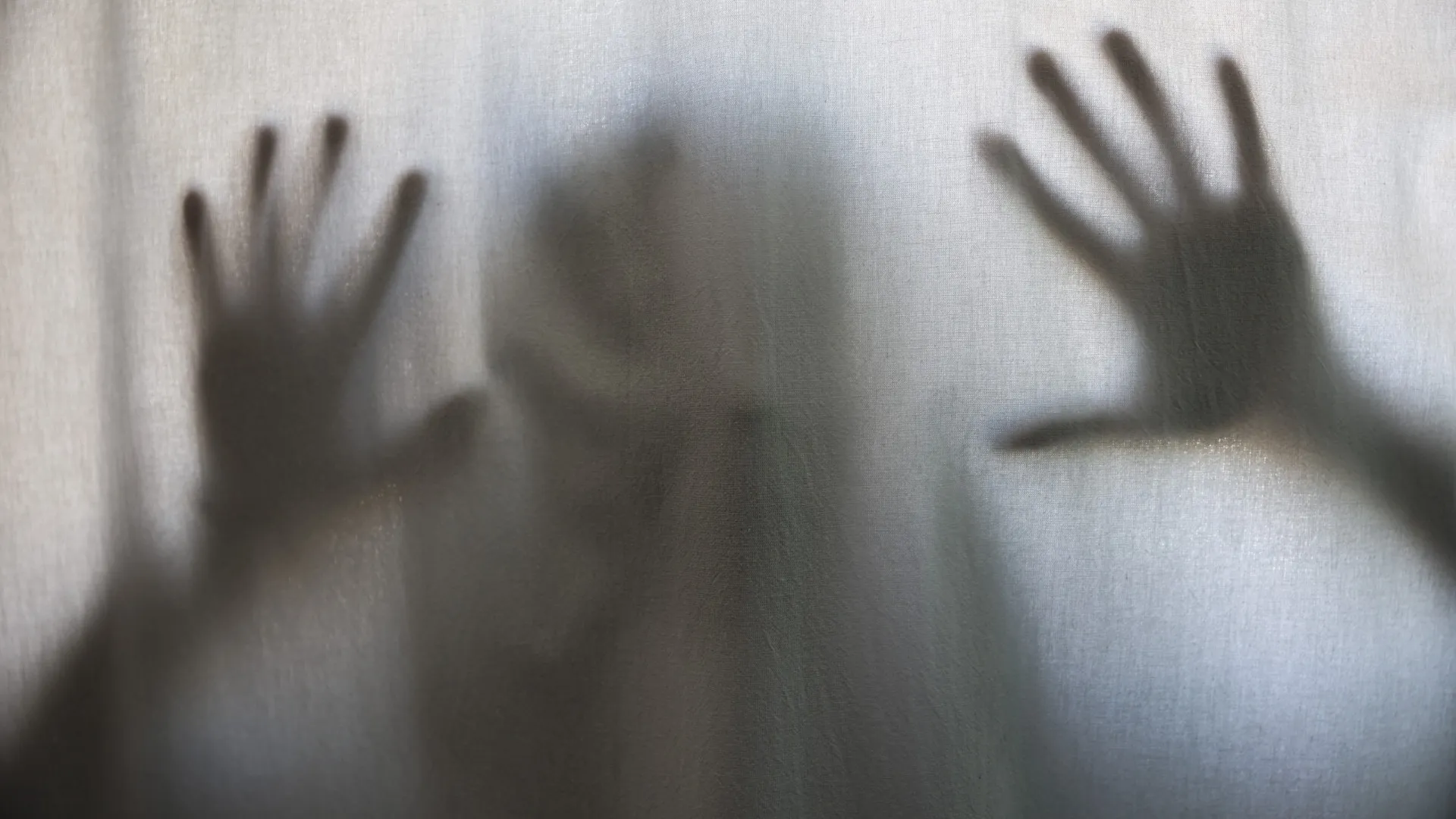 
                    Vítimas femininas apoiadas pela APAV aumentam 11% nos últimos três anos
                