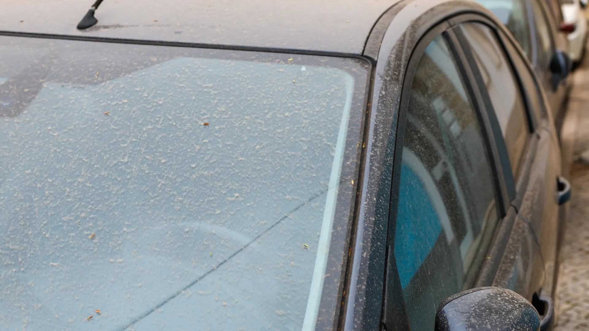 
                    DGS: Portugal continental com fraca qualidade do ar até quinta-feira
                