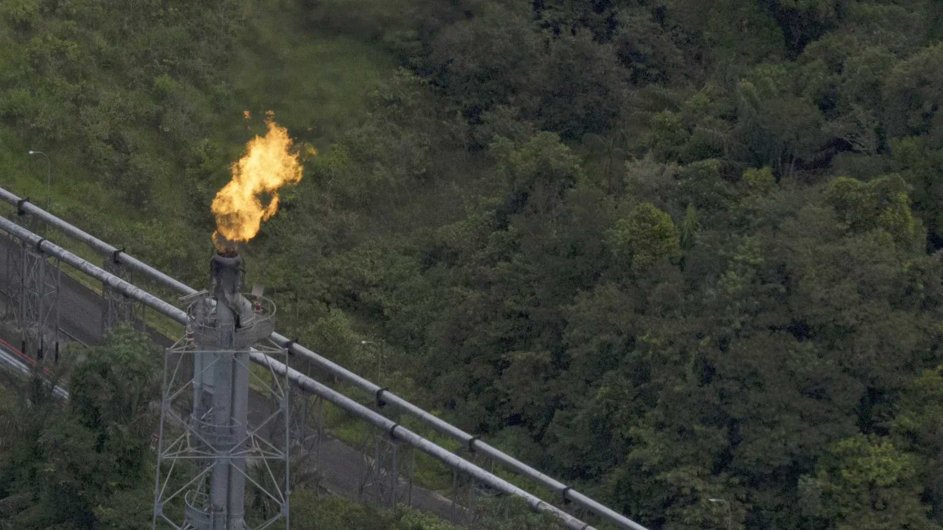 
                    Brasil atinge recorde de produção de petróleo e gás natural em outubro
                