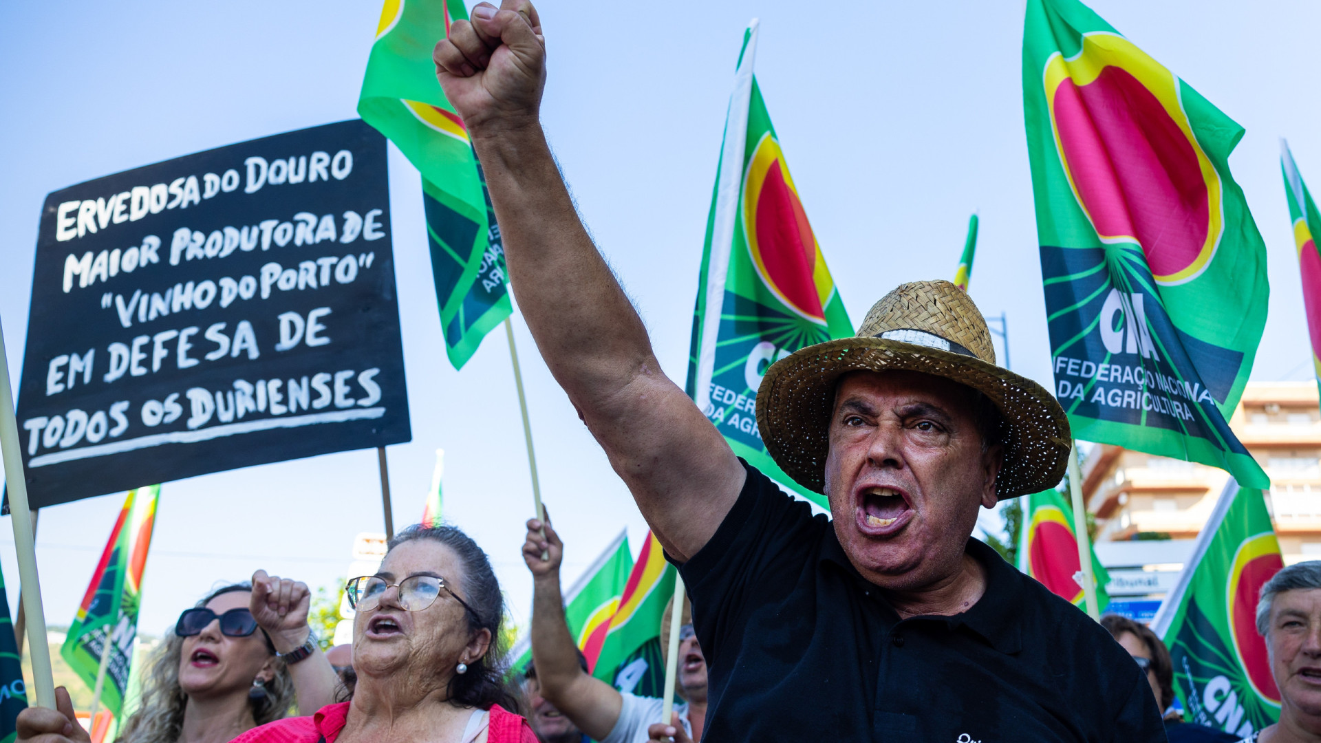 Viticultores do Douro vão manifestar-se a 2 de julho no Peso da Régua