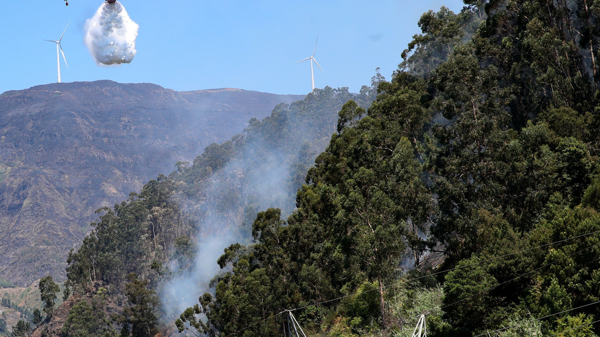 Proteção Civil da Madeira alerta para perigo de incêndios devido a calor
