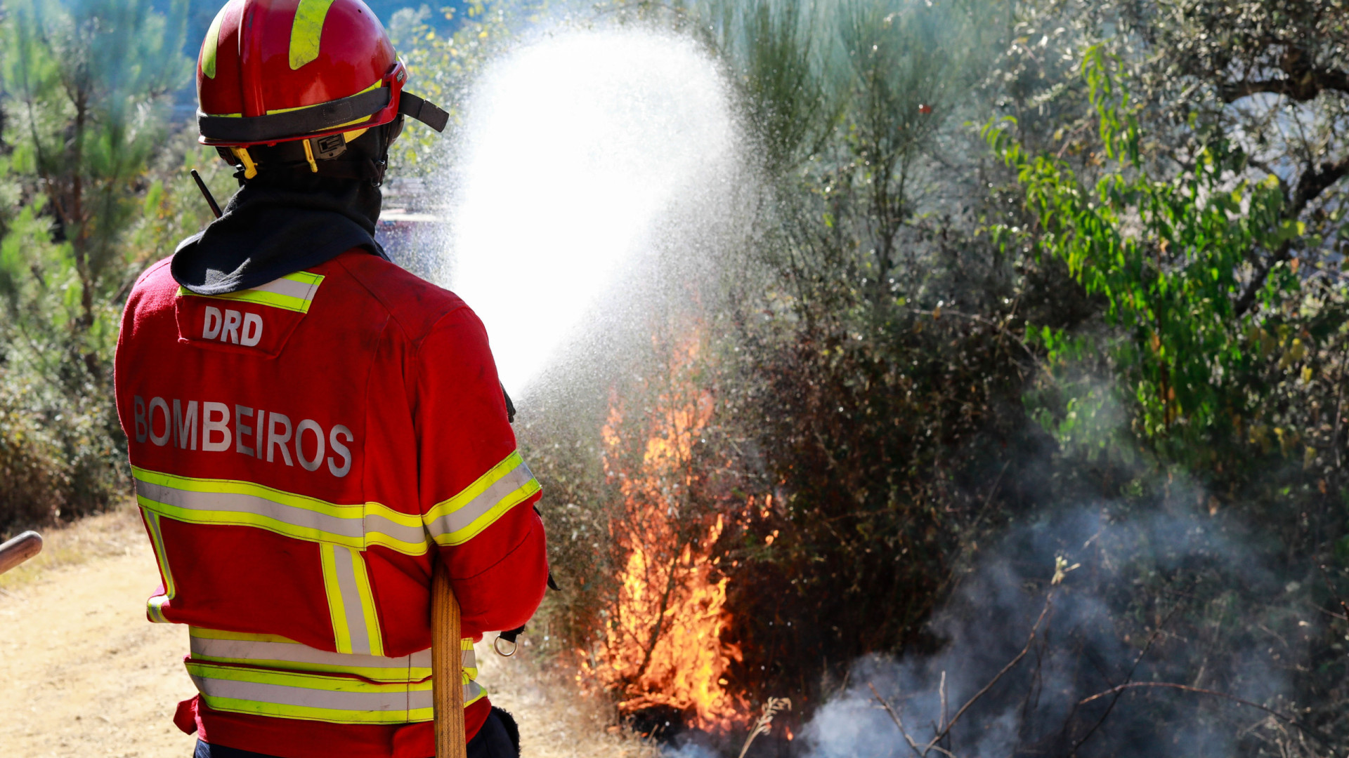 Bombeiros até 50 anos já podem integrar Equipas de Intervenção Permanente