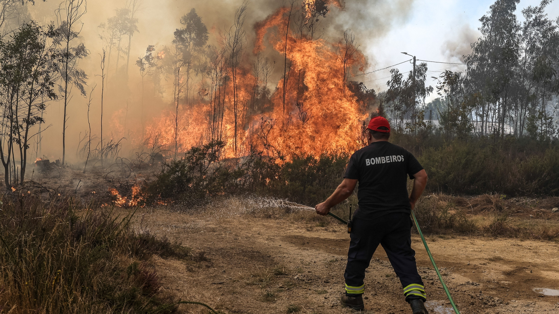 Fogo em Louriçal do Campo no concelho de Castelo Branco em resolução