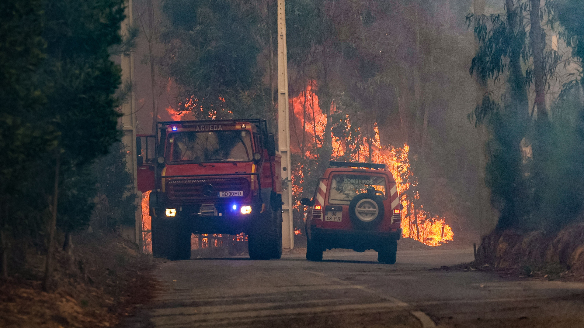 Mais de 270 operacionais combatem fogo no concelho de Castelo Branco