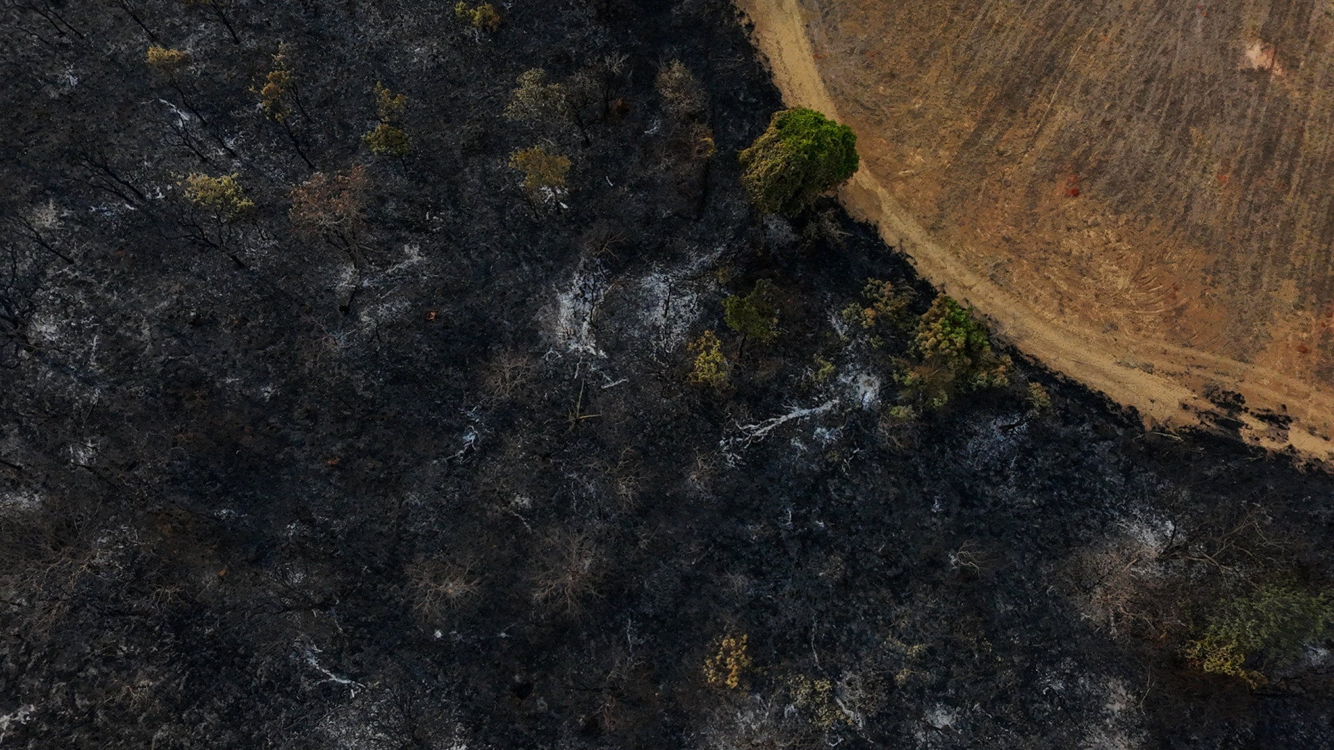 Brasil regista queda de 46% no número de incêndios no 1.º semestre do ano