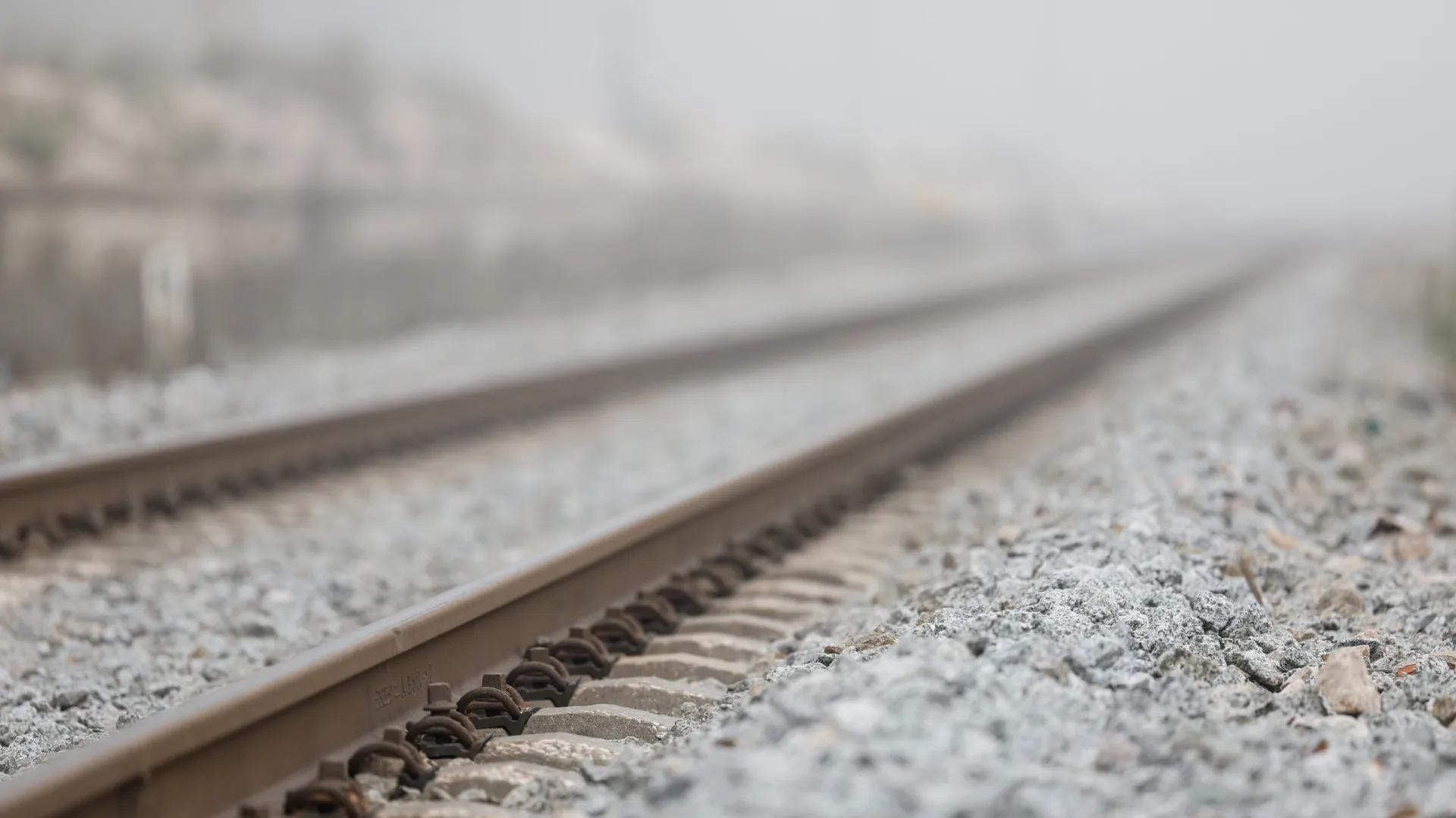 
                    CP retoma circulação na Linha da Beira Baixa
                