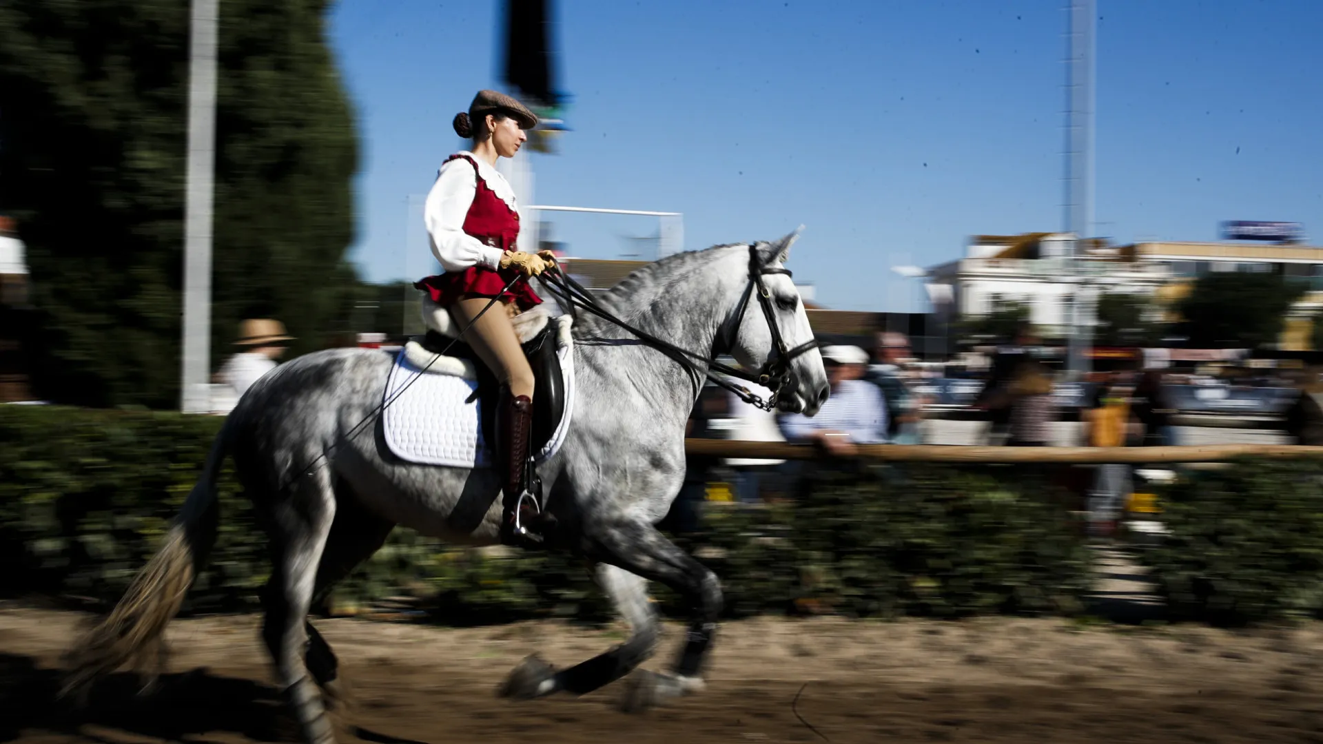 
                    Golegã investe 600 mil euros na Feira do Cavalo
                