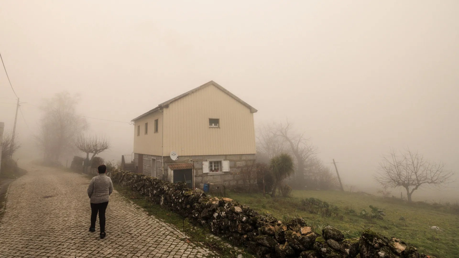 
                    IPMA coloca 11 distritos de Portugal continental em aviso amarelo por tempo frio
                