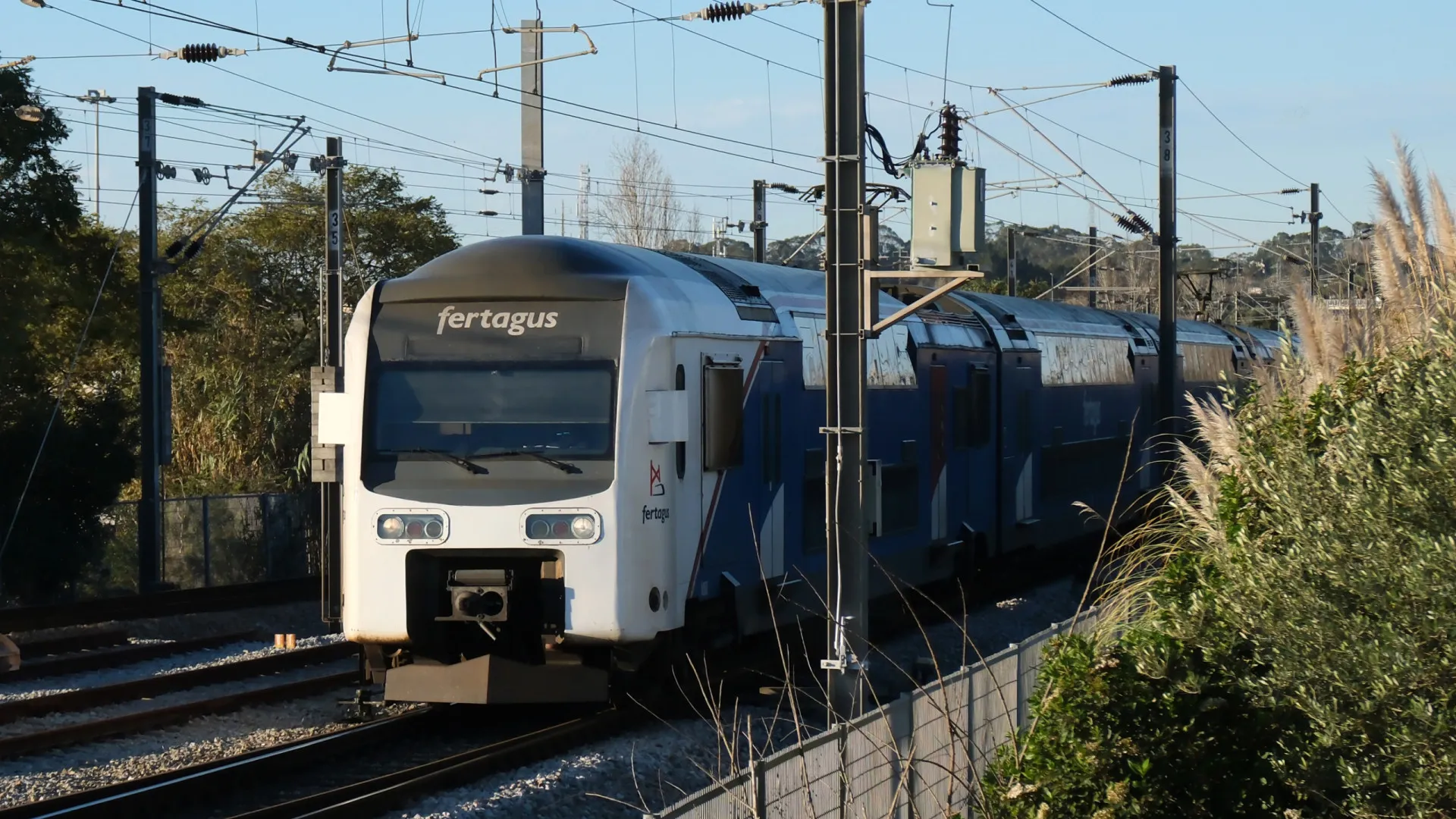 
                    Fertagus interrompe circulação de comboios entre Sete Rios e Roma-Areeiro
                