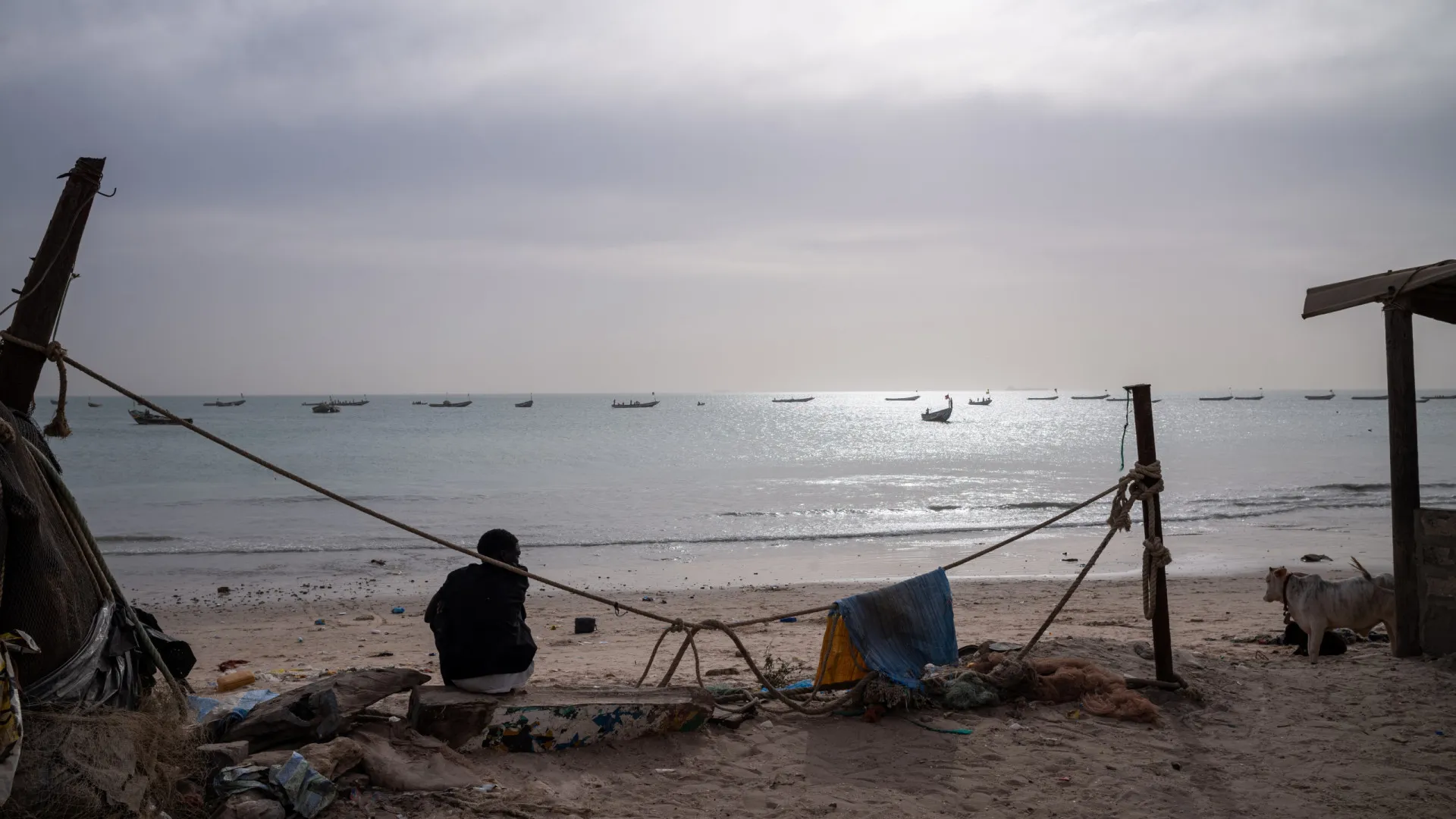 
                    Pelo menos 12 migrantes mortos em naufrágio ao largo do Senegal
                