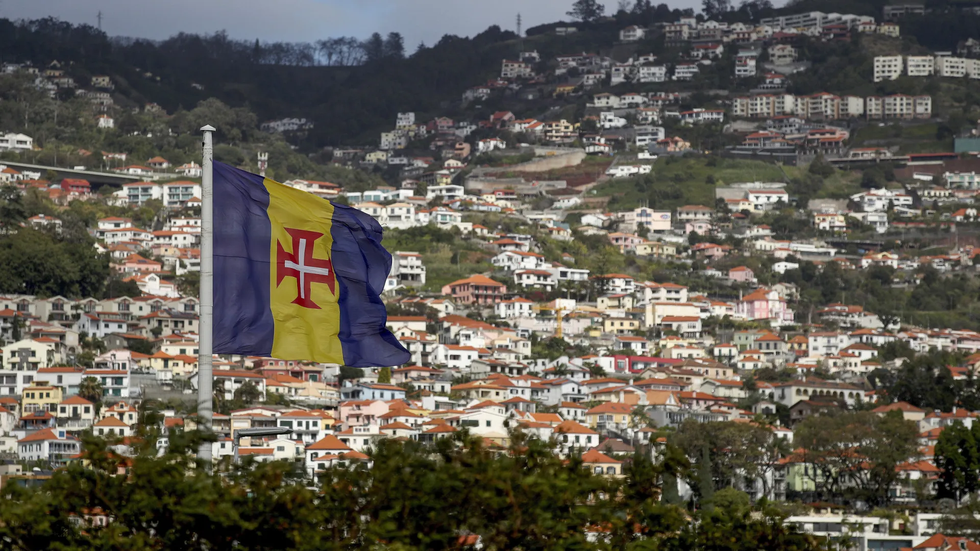 
                    Vereador do CDS no Funchal conduz alcoolizado e atropela: 