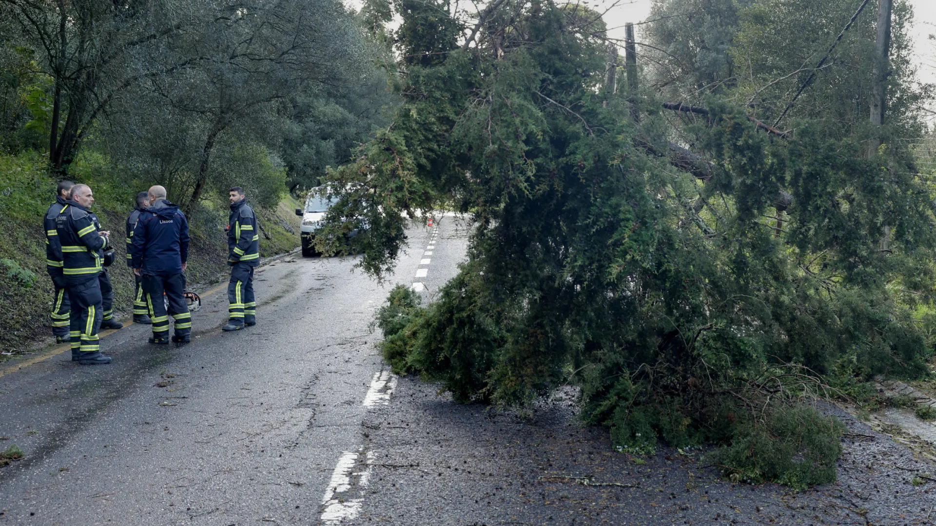 
                    PSP alerta as populações de Coimbra e Leiria para se manterem em casa 
                