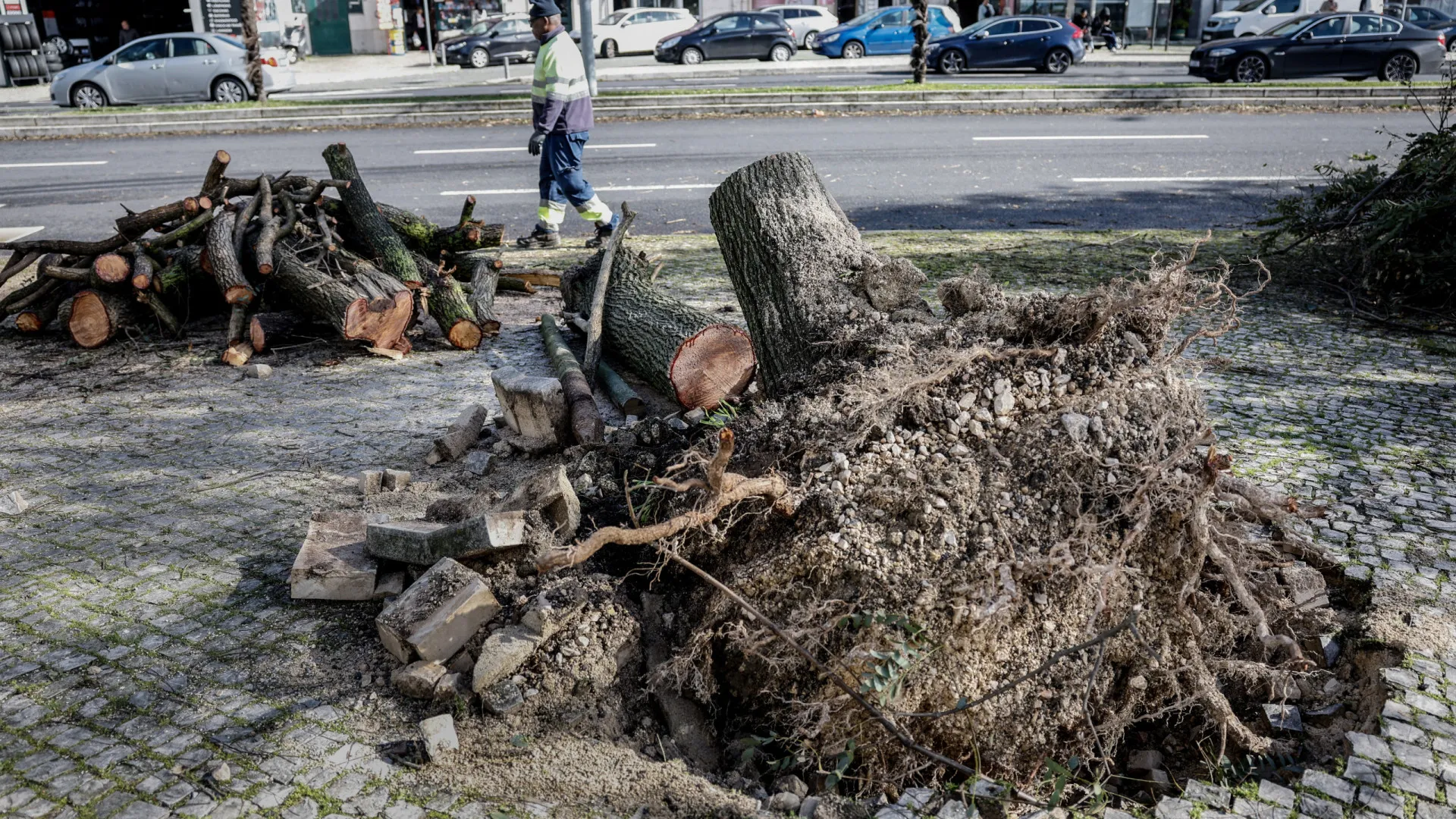 
                    Mais de mil ocorrências até às 18h00, a maioria em Lisboa e Vale do Tejo
                