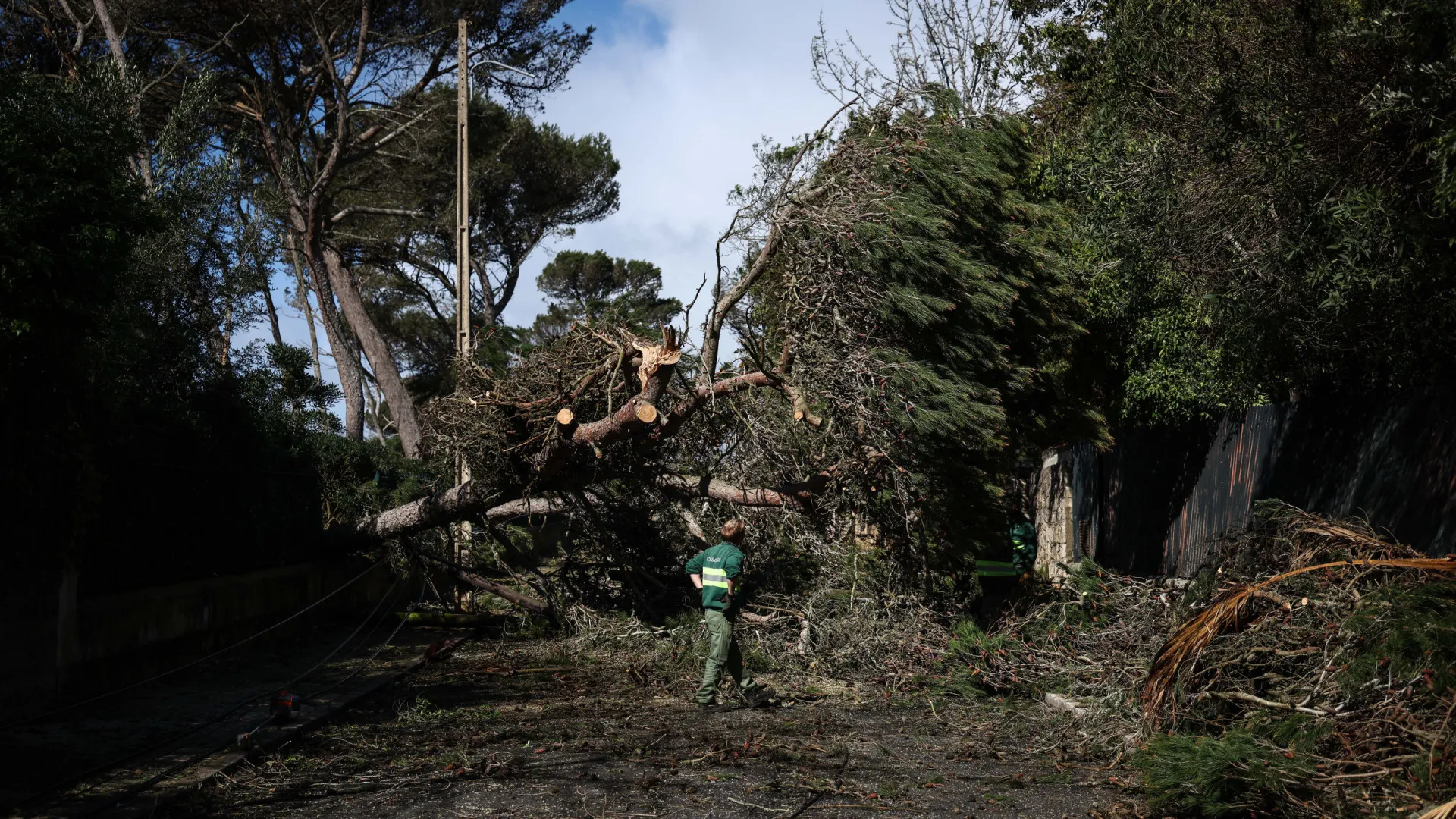 
                    Mau tempo: Cascais estima prejuízos de mais de 6,5 milhões de euros
                