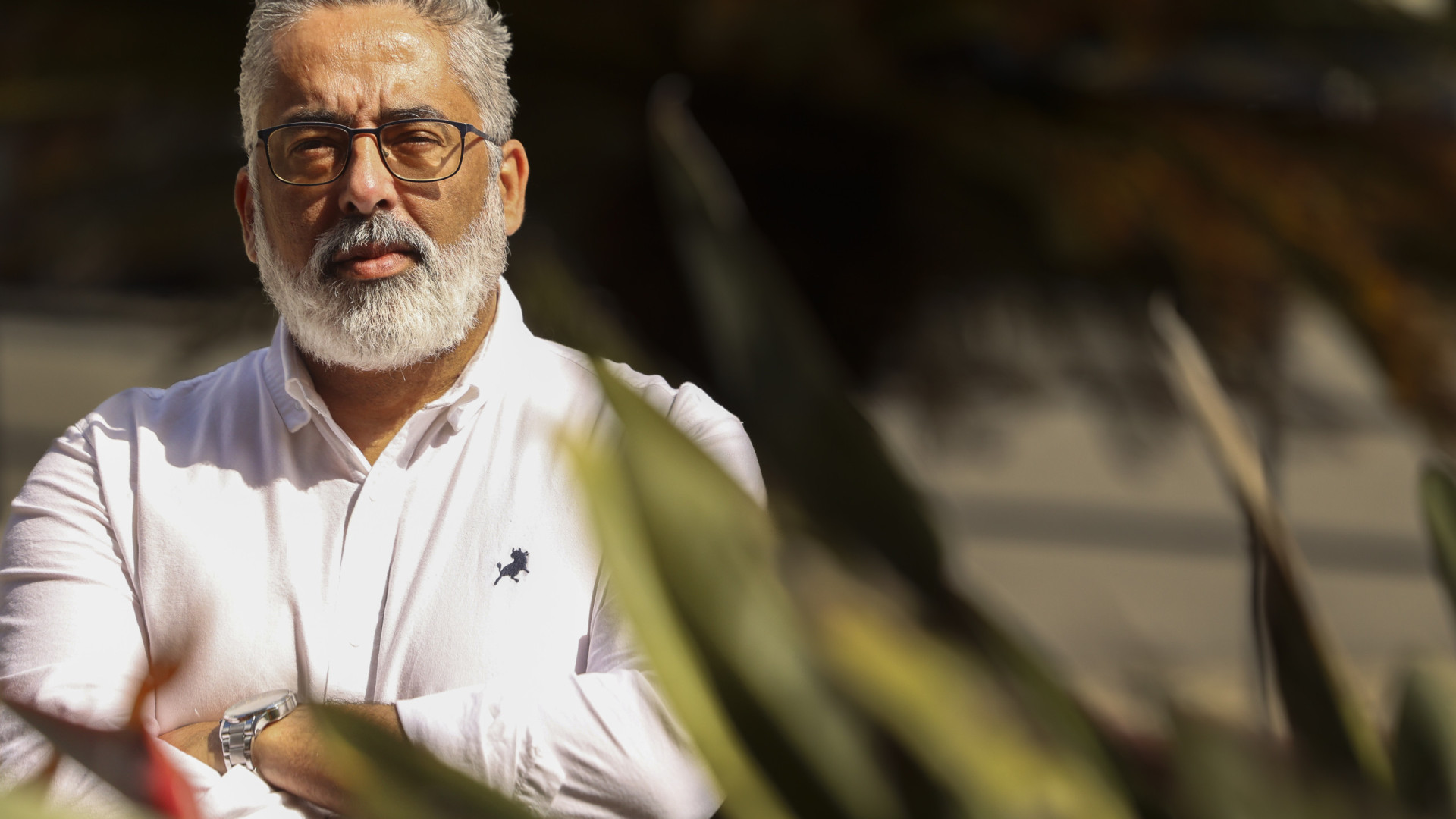 MPT quer defender o ambiente e a habitação nos arquipélagos