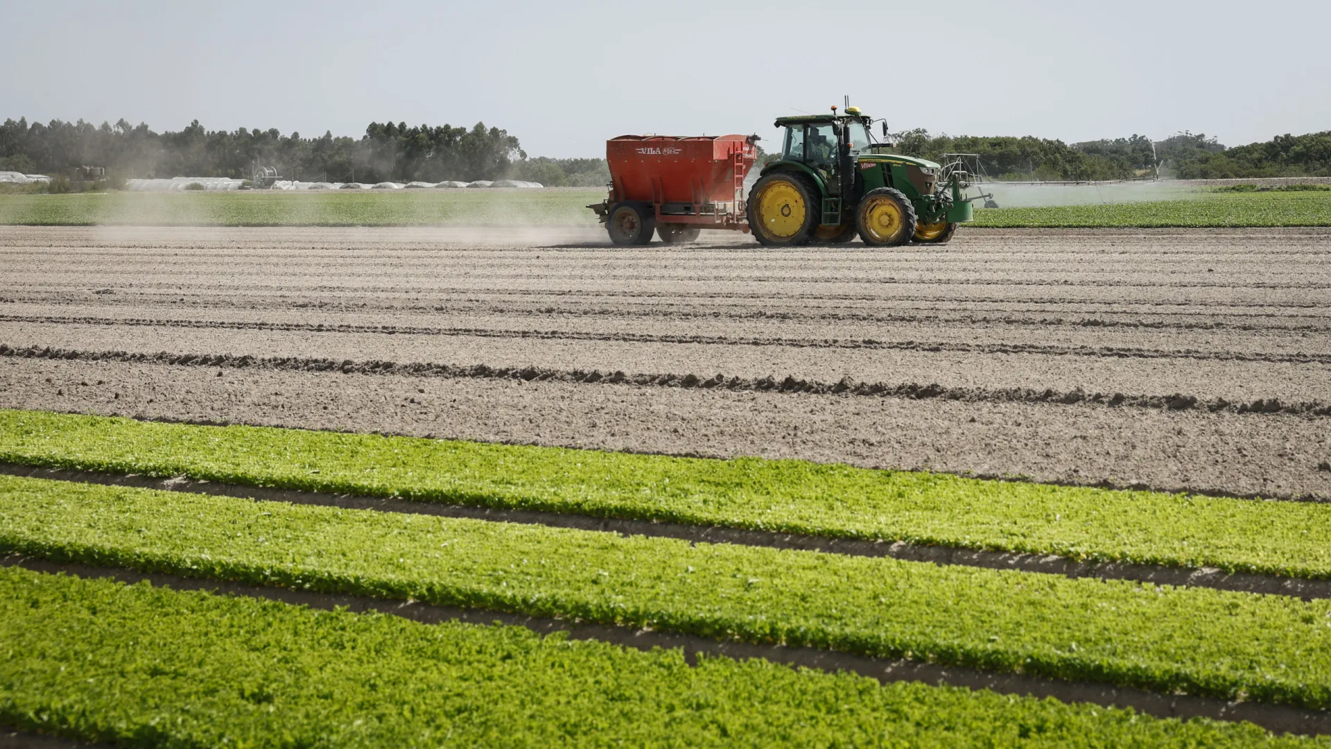 
                    UE chega a acordo provisório para simplificar política agrícola
                