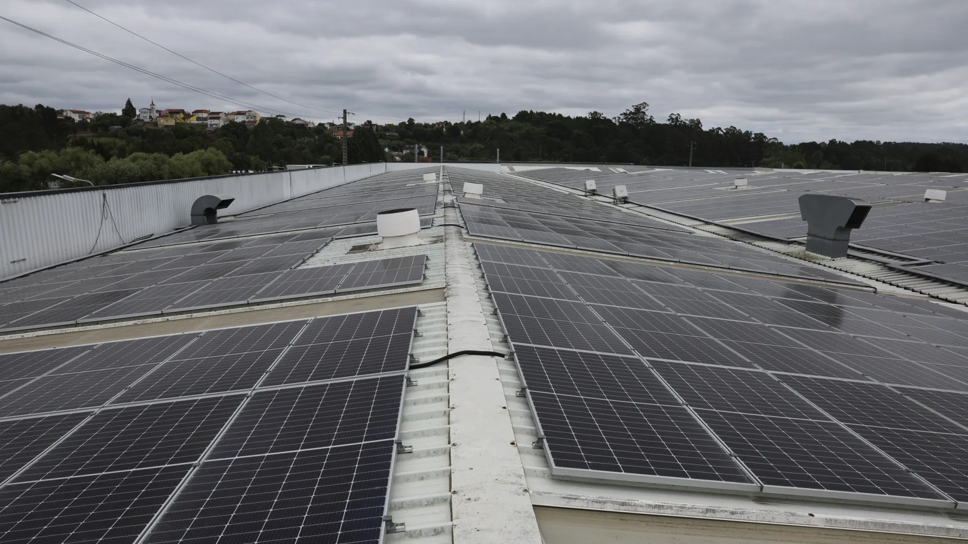 
                    Renováveis geram 79% da eletricidade até fevereiro, 3.º melhor registo europeu
                