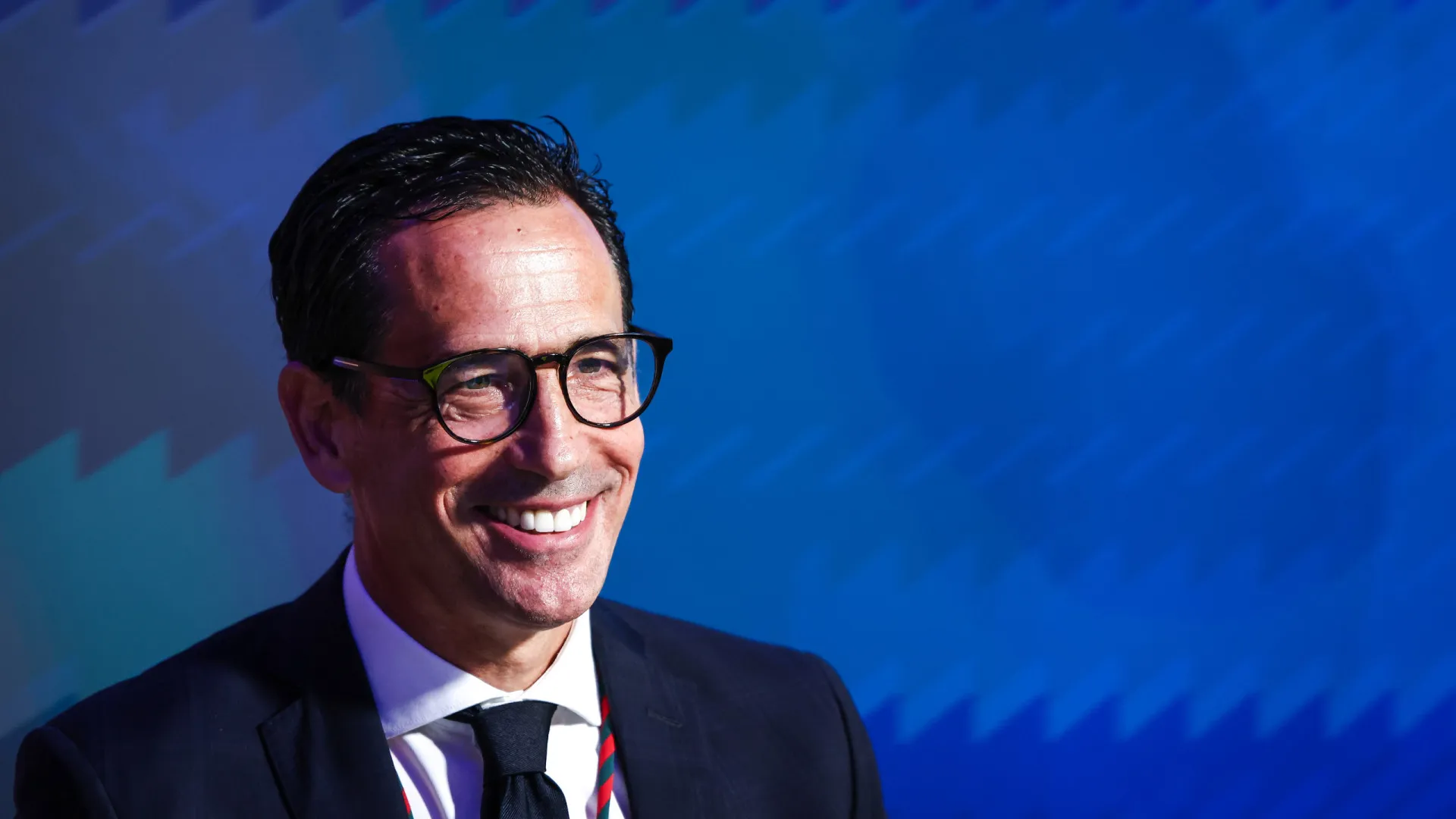 
                    Pedro Proença manifesta 