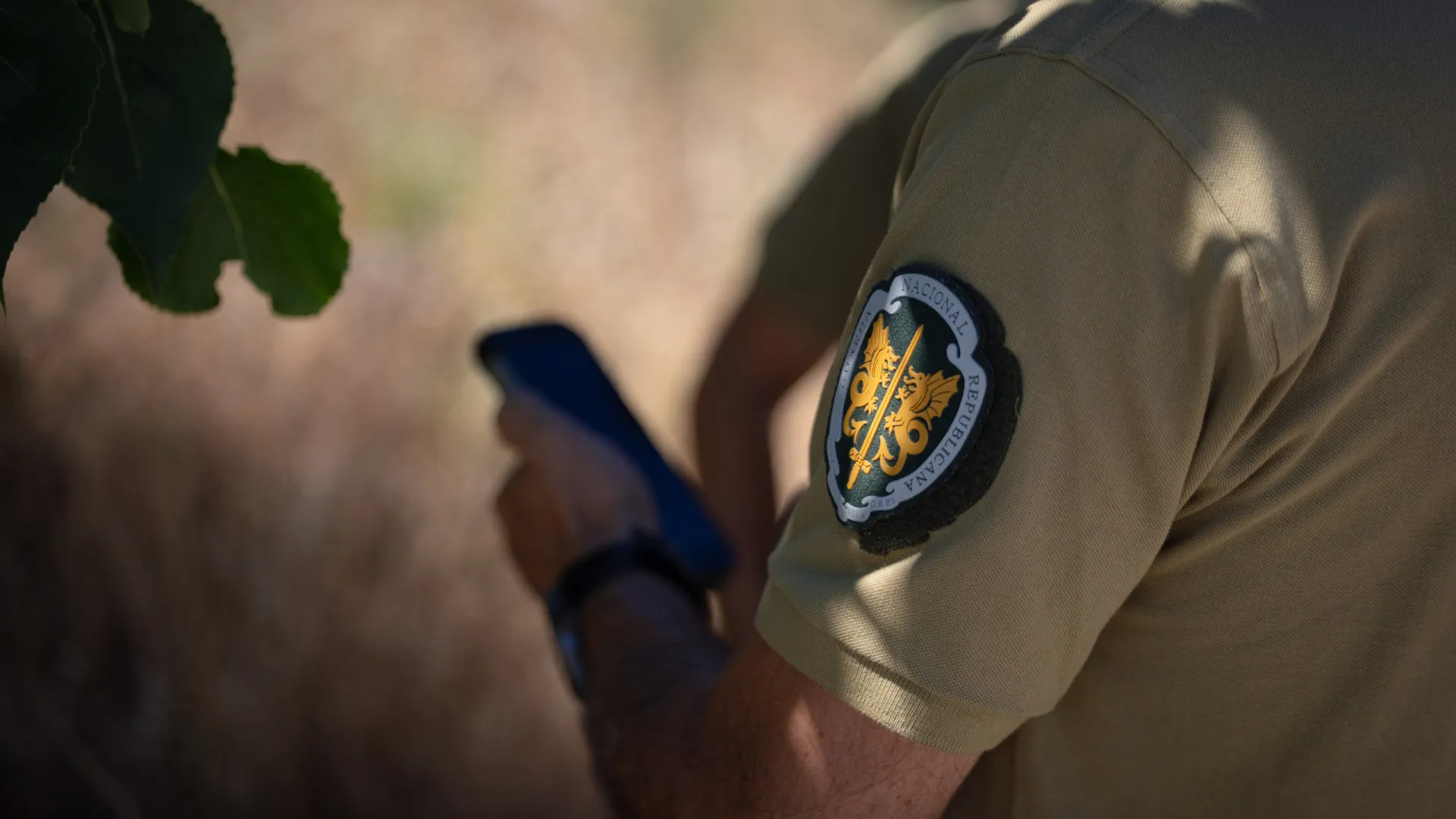 
                    GNR levantou autos a 120 municípios por falta de limpeza de terrenos
                