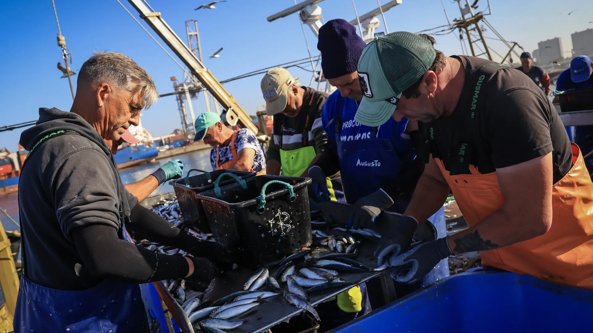 
                    Pescadores podem recorrer ao fundo de compensação após tempestade
                