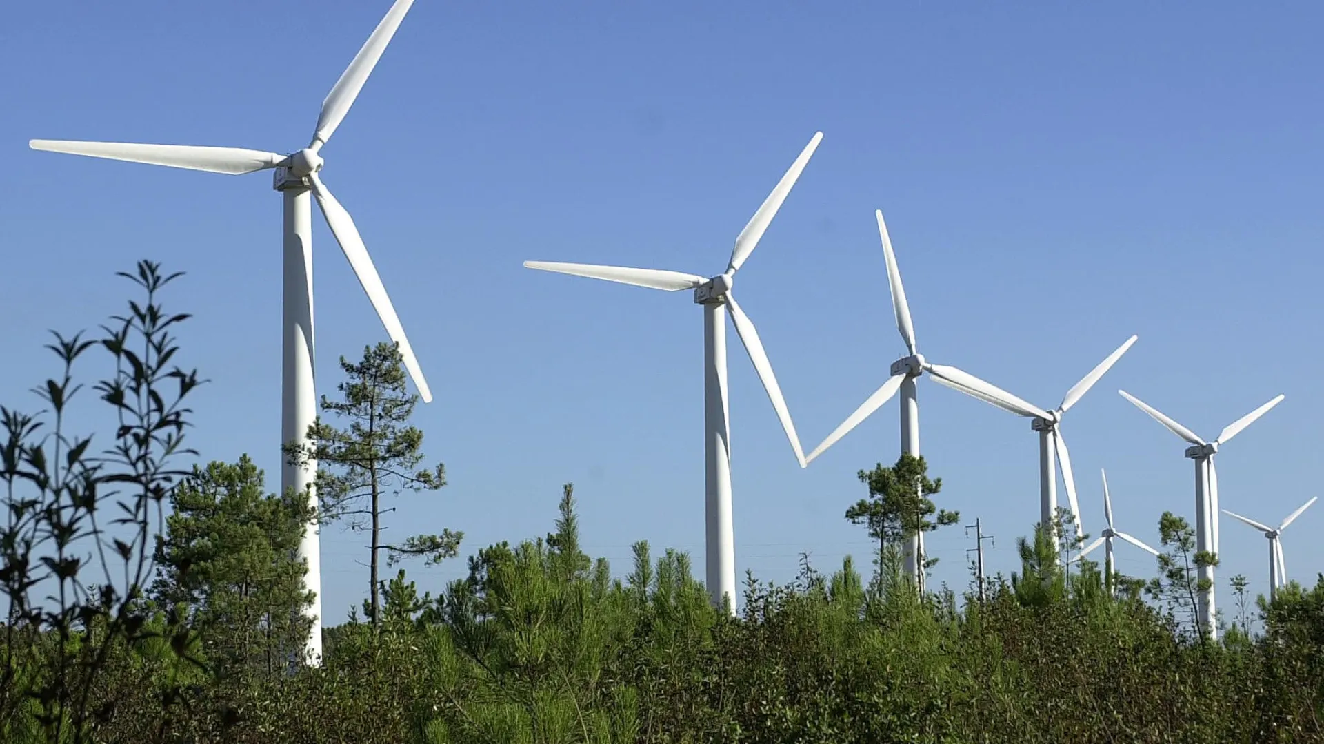 
                    Zero acusa Governo de reduzir ambição nas renováveis para 49% até 2030
                