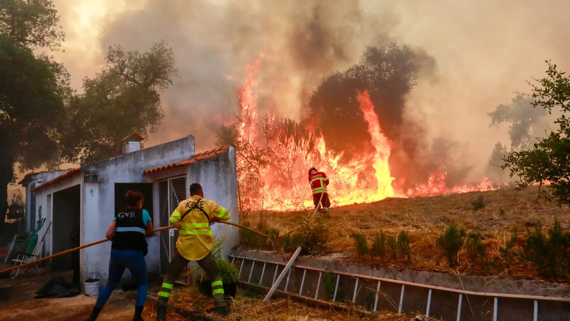 
                    Emigrantes afetados pelos fogos serão 