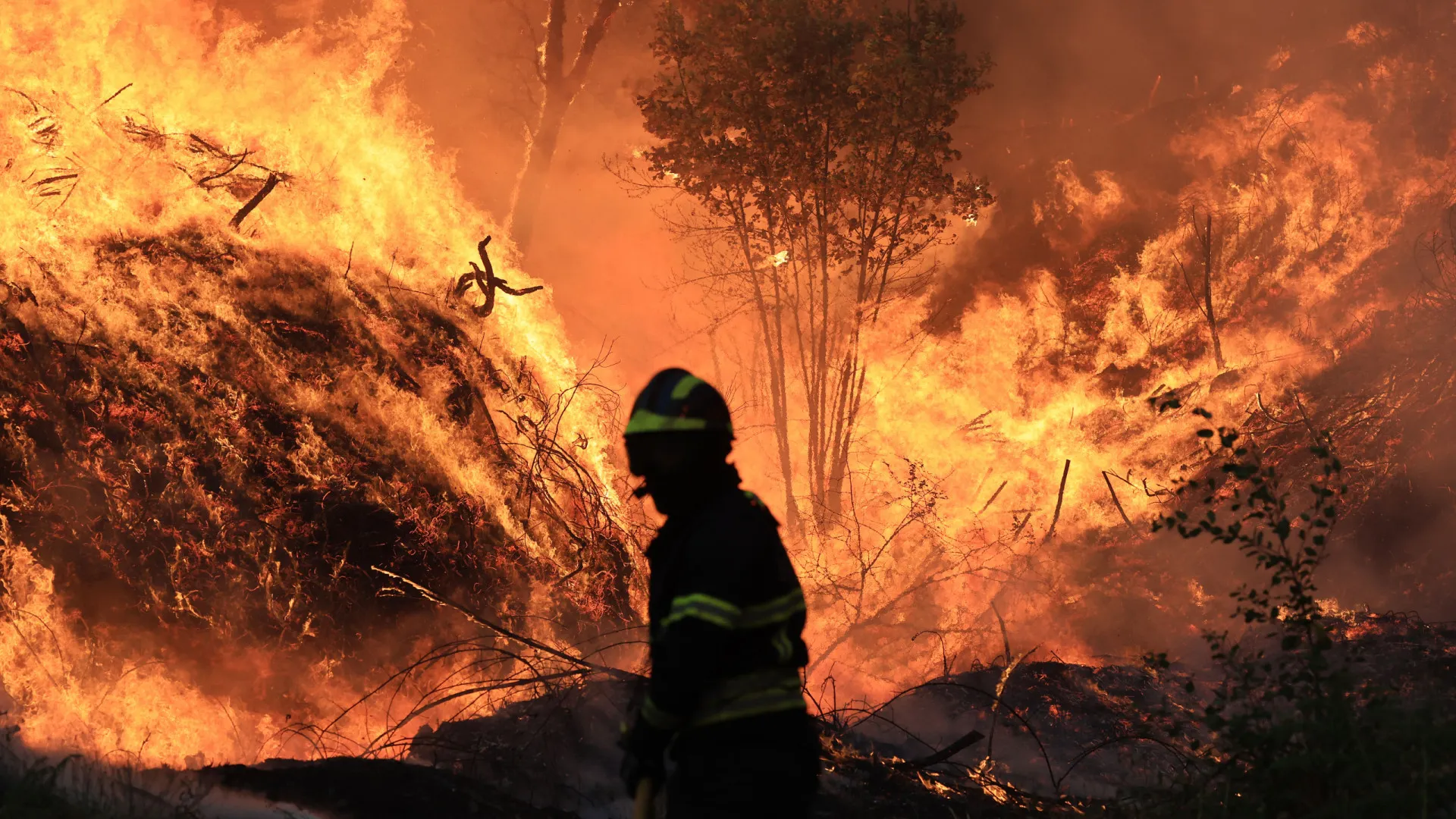 
                    Governo estima em 20 milhões as despesas extraordinárias dos bombeiros
                
