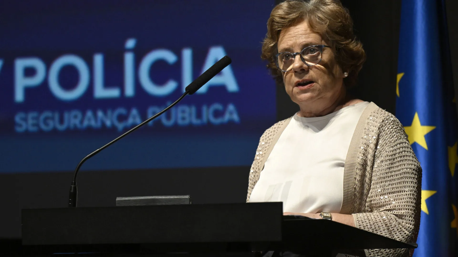 
                    MAI inicia negociações com PSP e GNR (mas há contestações)
                