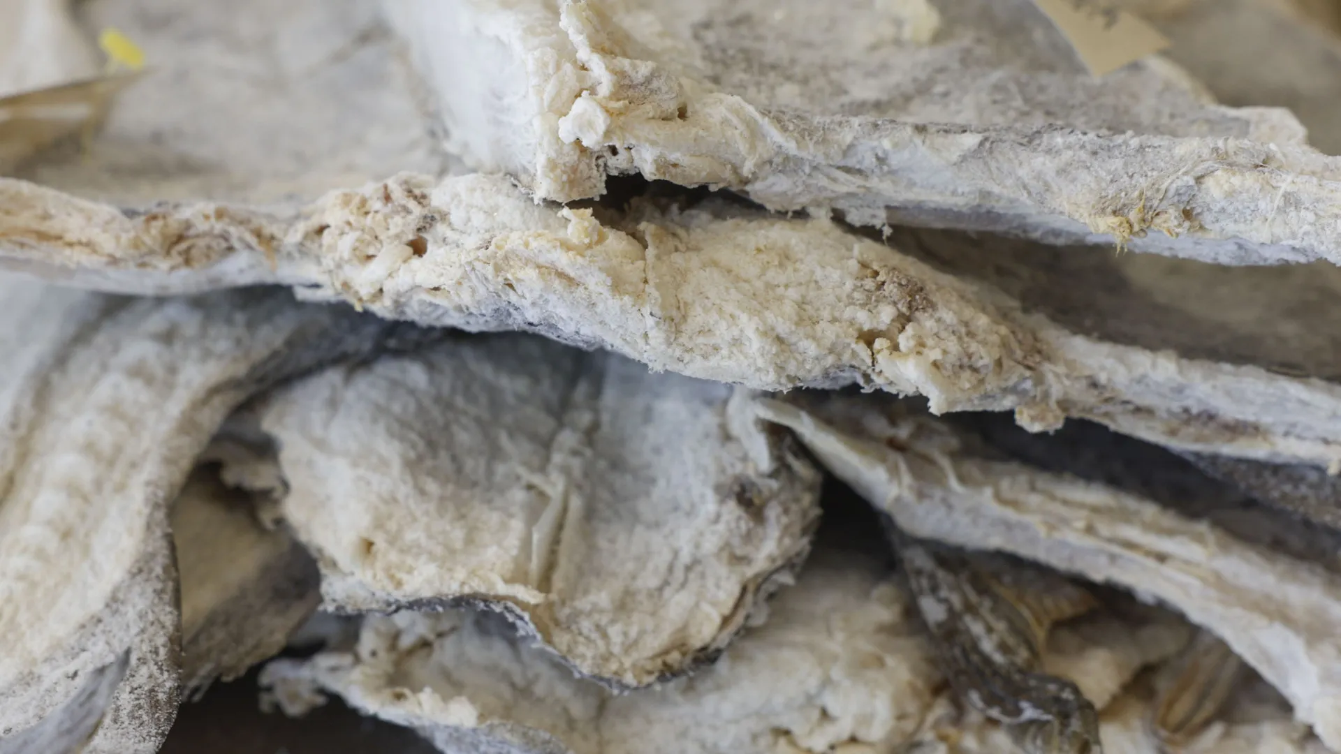 Bacalhau? "Estamos a exportar da Noruega para Portugal 35.000 toneladas"