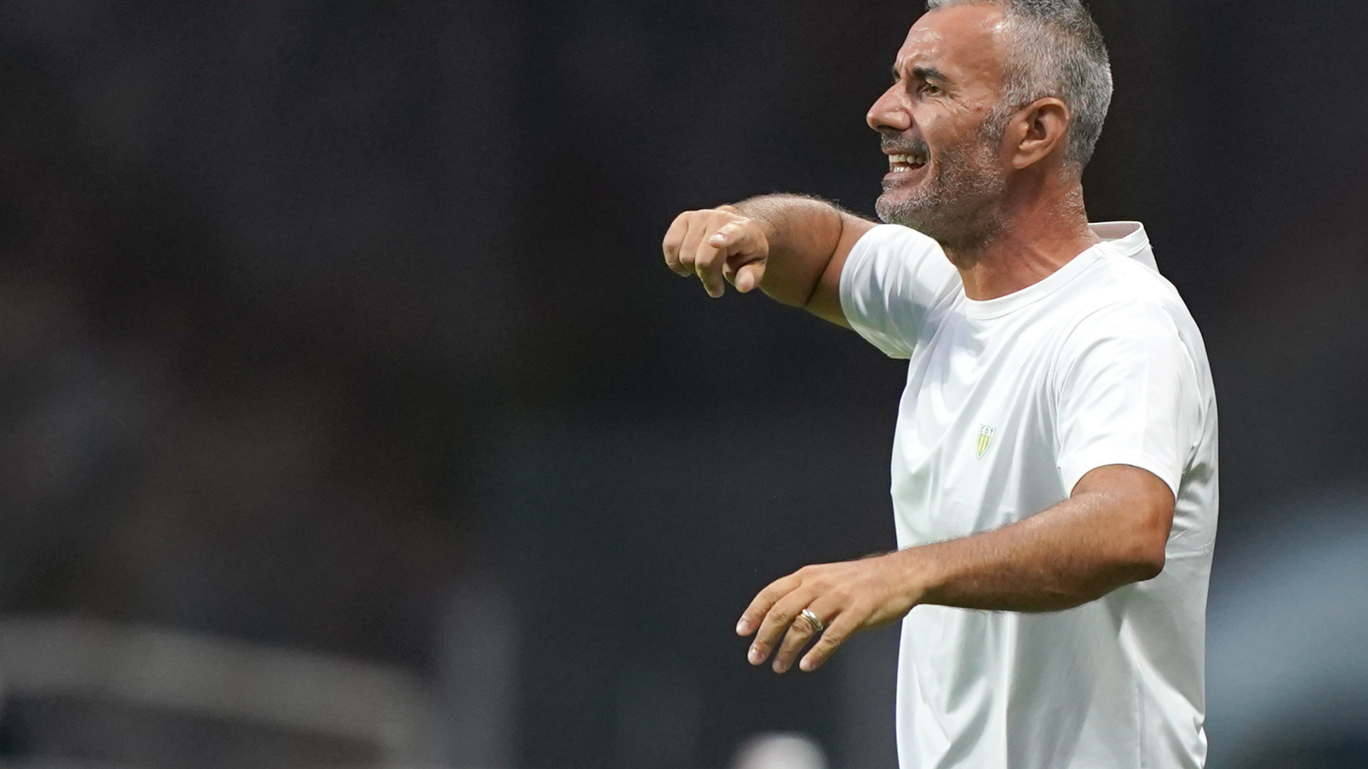 "Benfica? Não vamos, nem pouco mais ou menos, desviar-nos daquilo..."