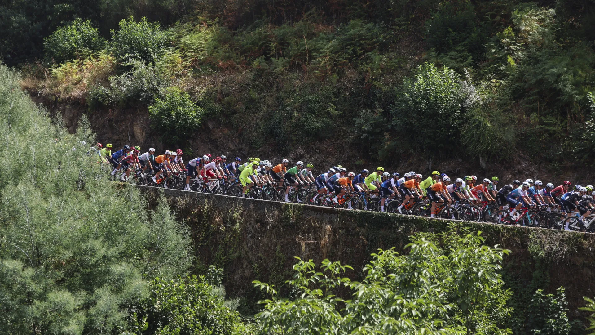 
                    Federação de Ciclismo antecipa fim da concessão da Volta a Portugal
                