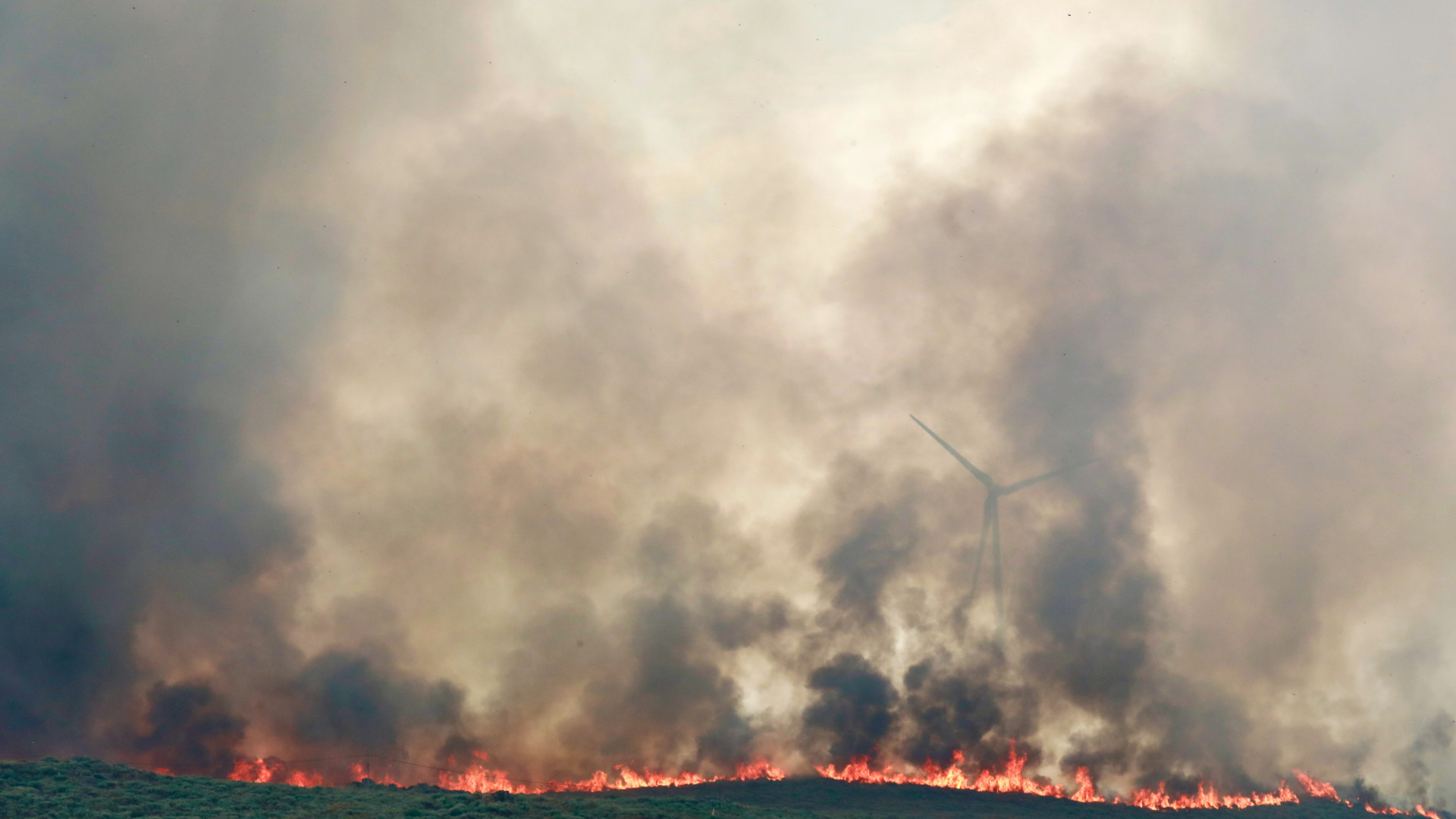 Governo já recebeu cinco mil pedidos de ajuda devido aos incêndios