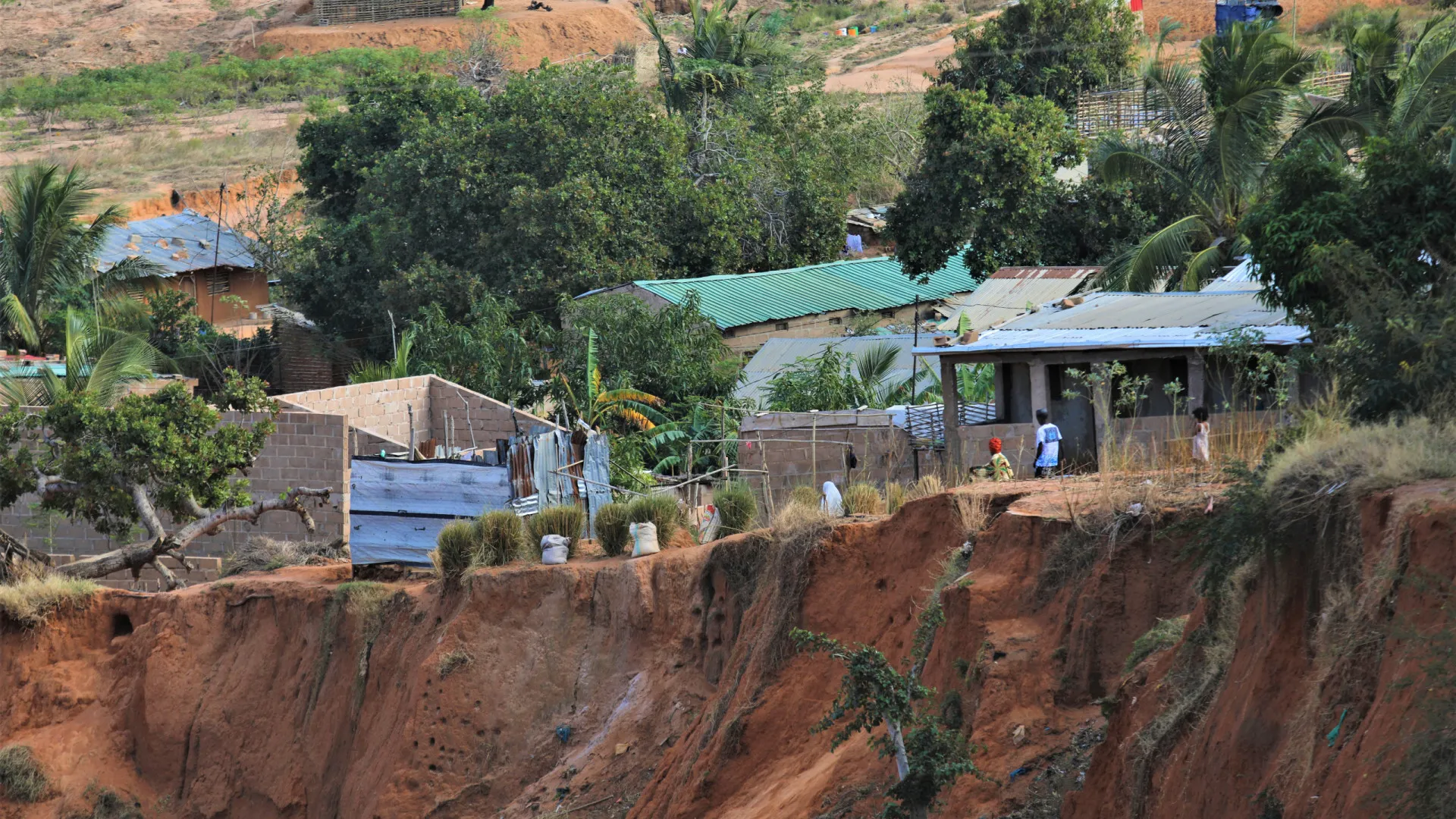 
                    Camponeses moçambicanos abandonam campos após avistarem terroristas
                