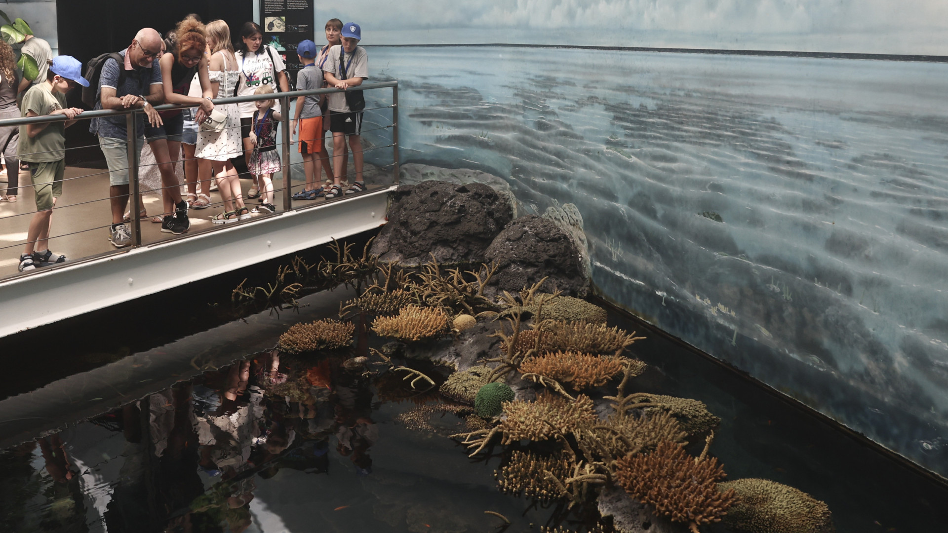 Famílias ucranianas de férias em Portugal visitam o Oceanário