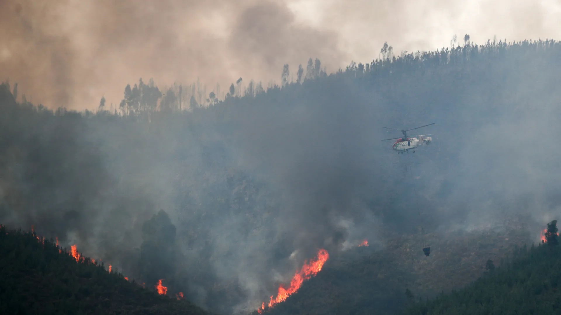 
                    Incêndio em Montalegre dado como dominado
                