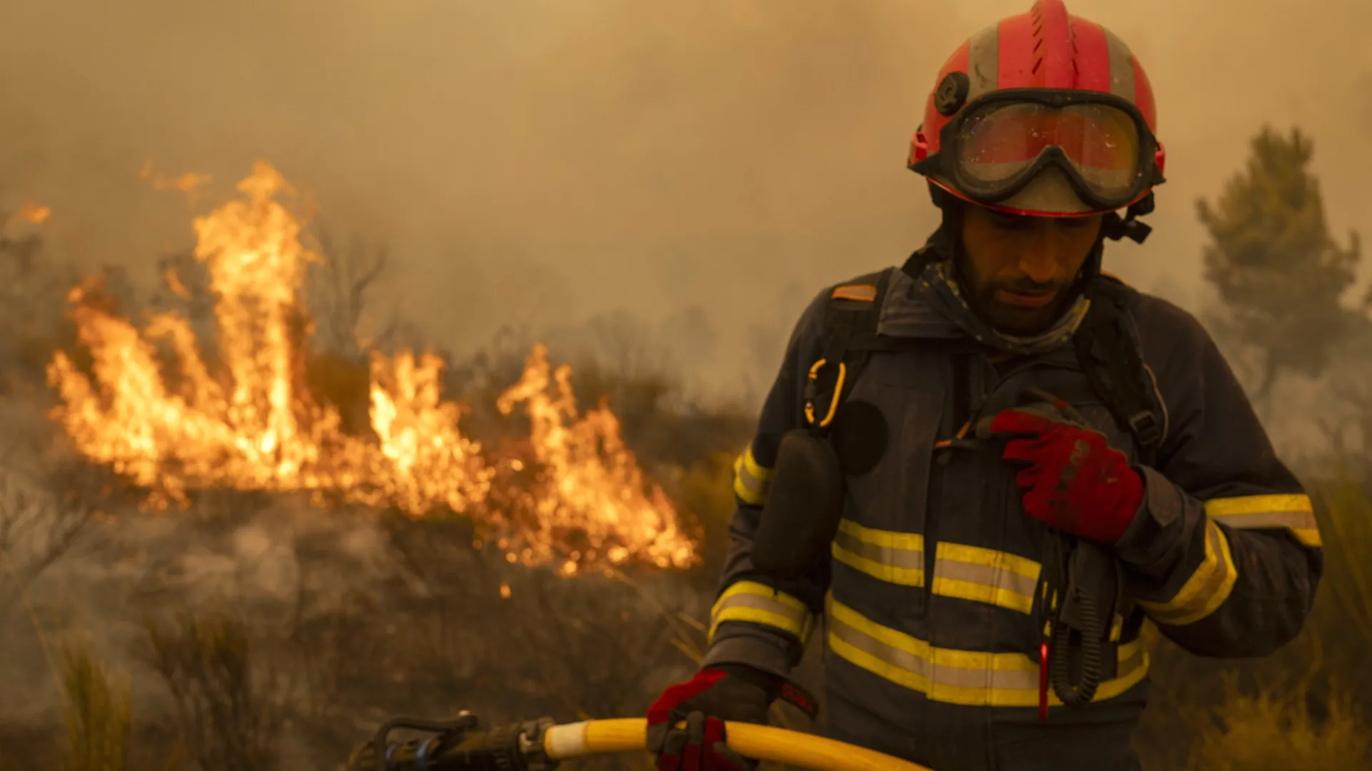 
                    Espanha continua com 12 fogos por controlar mas evolução é favorável
                