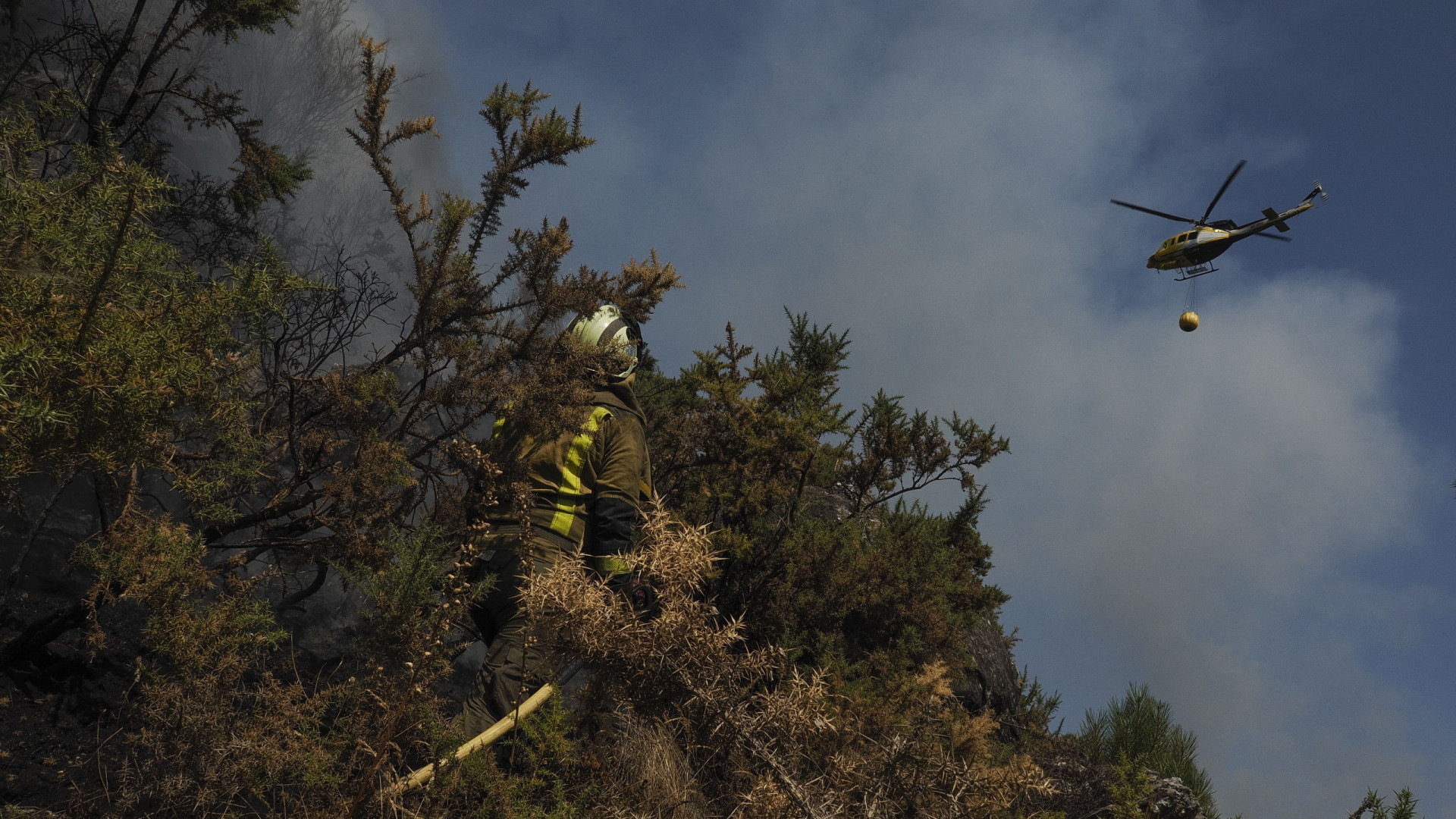 Espanha com 16 fogos mais preocupantes sobretudo em Castela e Leão